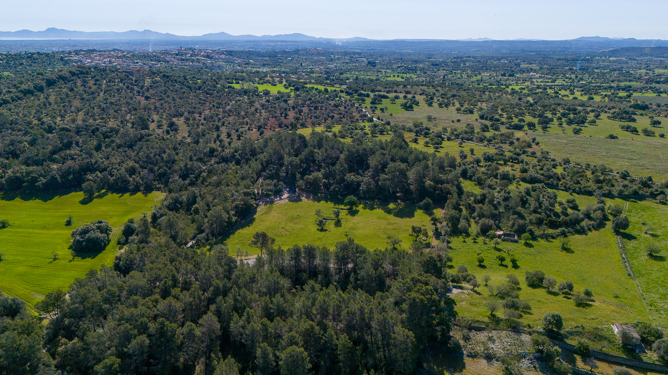  Plot with mountain views near Campanet - 物件實景