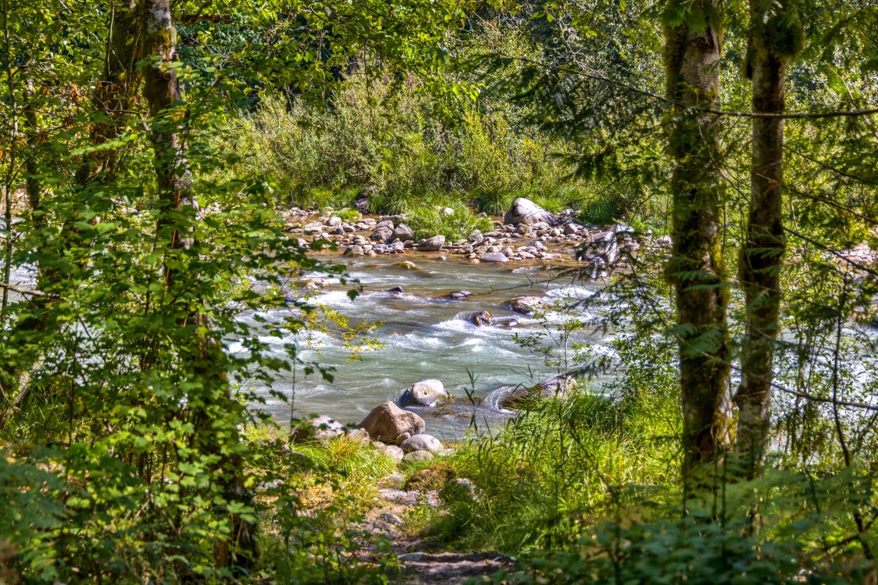  58200 E Marmot Road Sandy, OR 97055 - 物件實景