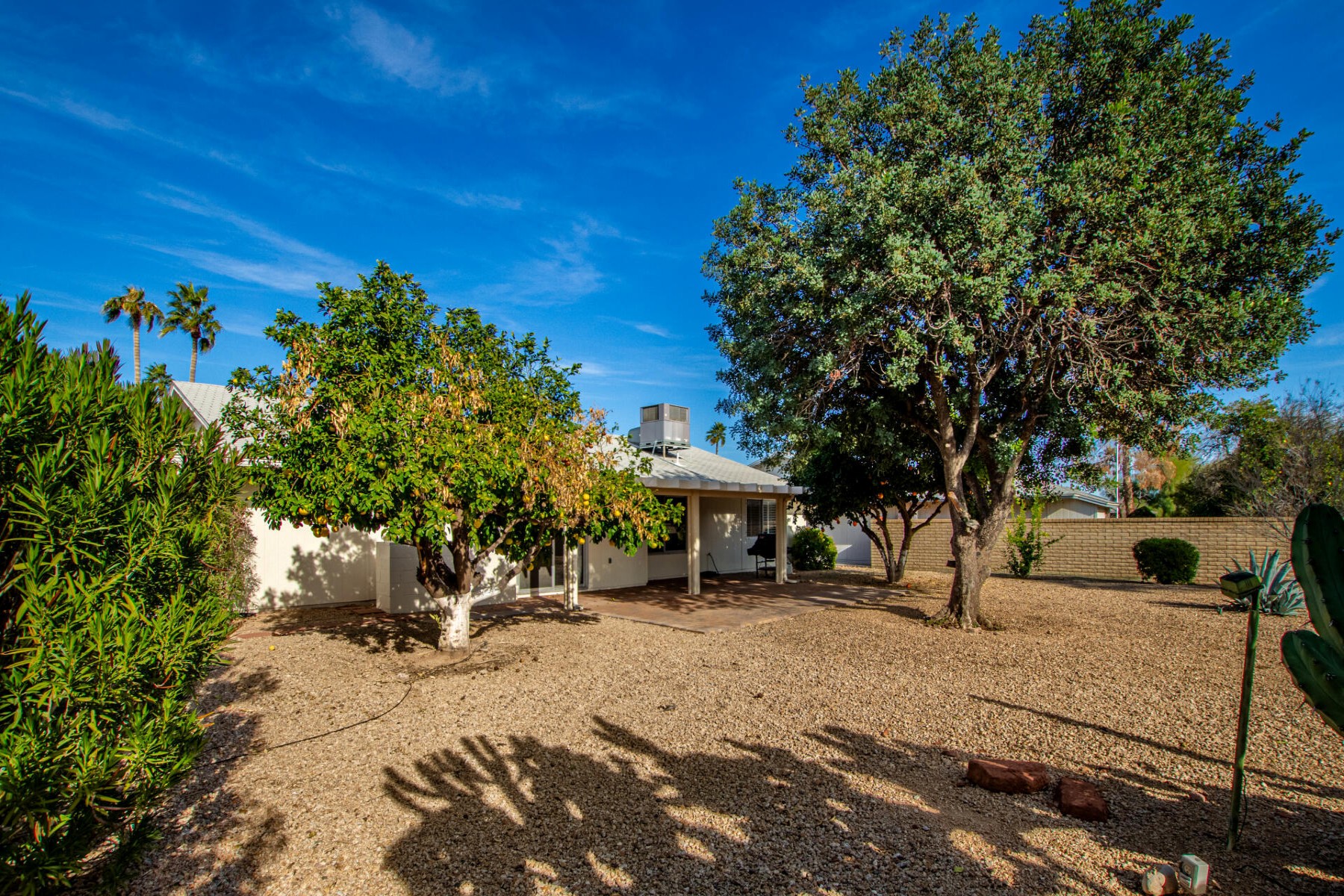  13023 W Beardsley Road¦Sun City West, AZ - 物件實景