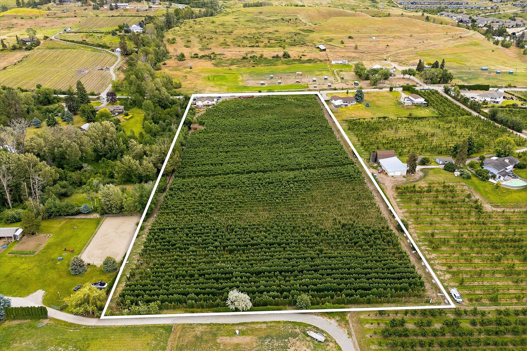  Ellison Acreage - 物件實景