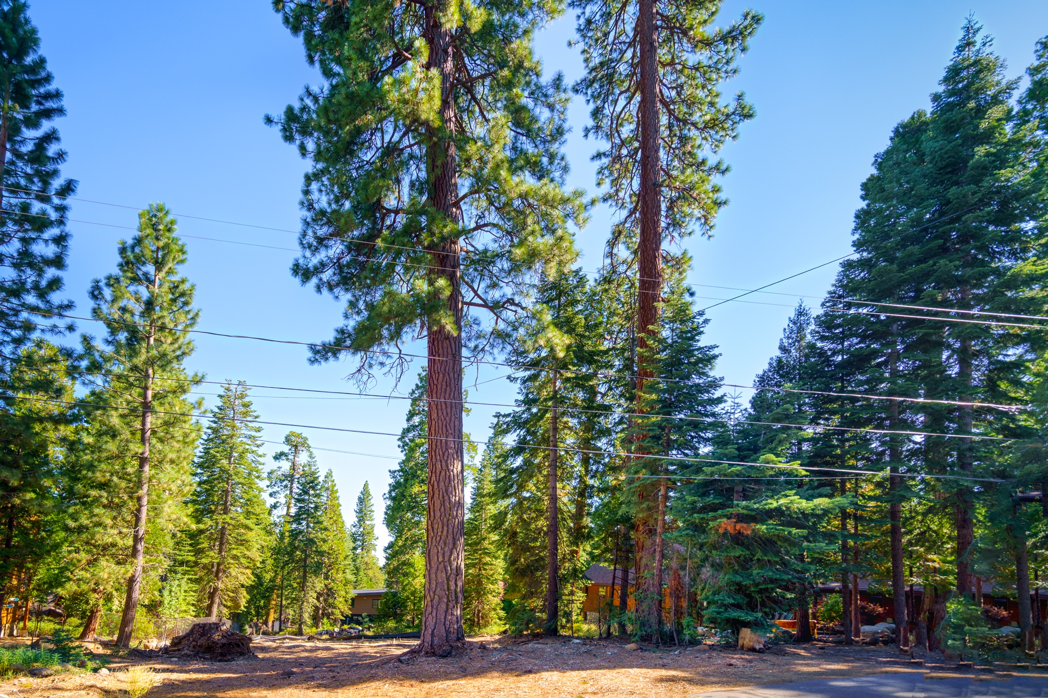  6458 Donner Road, Tahoe Vista, CA 96148 - 物件實景
