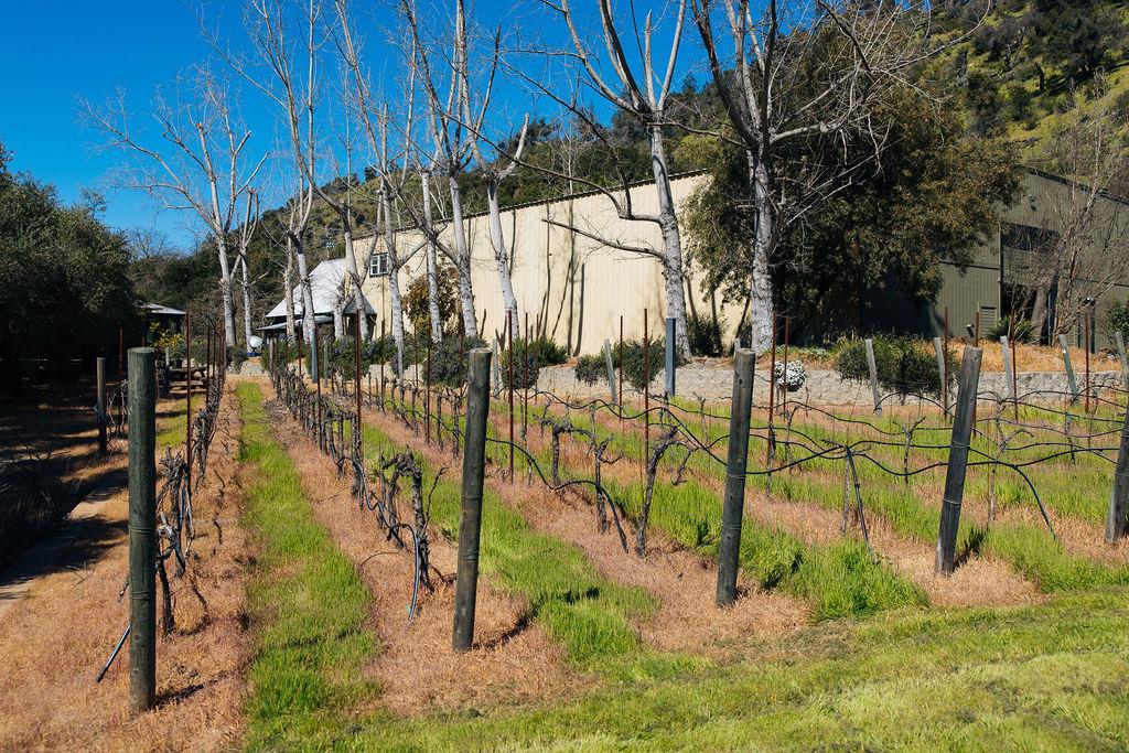 Saint Helena, California, 94574, United States, ,Residential,For Sale,1736432