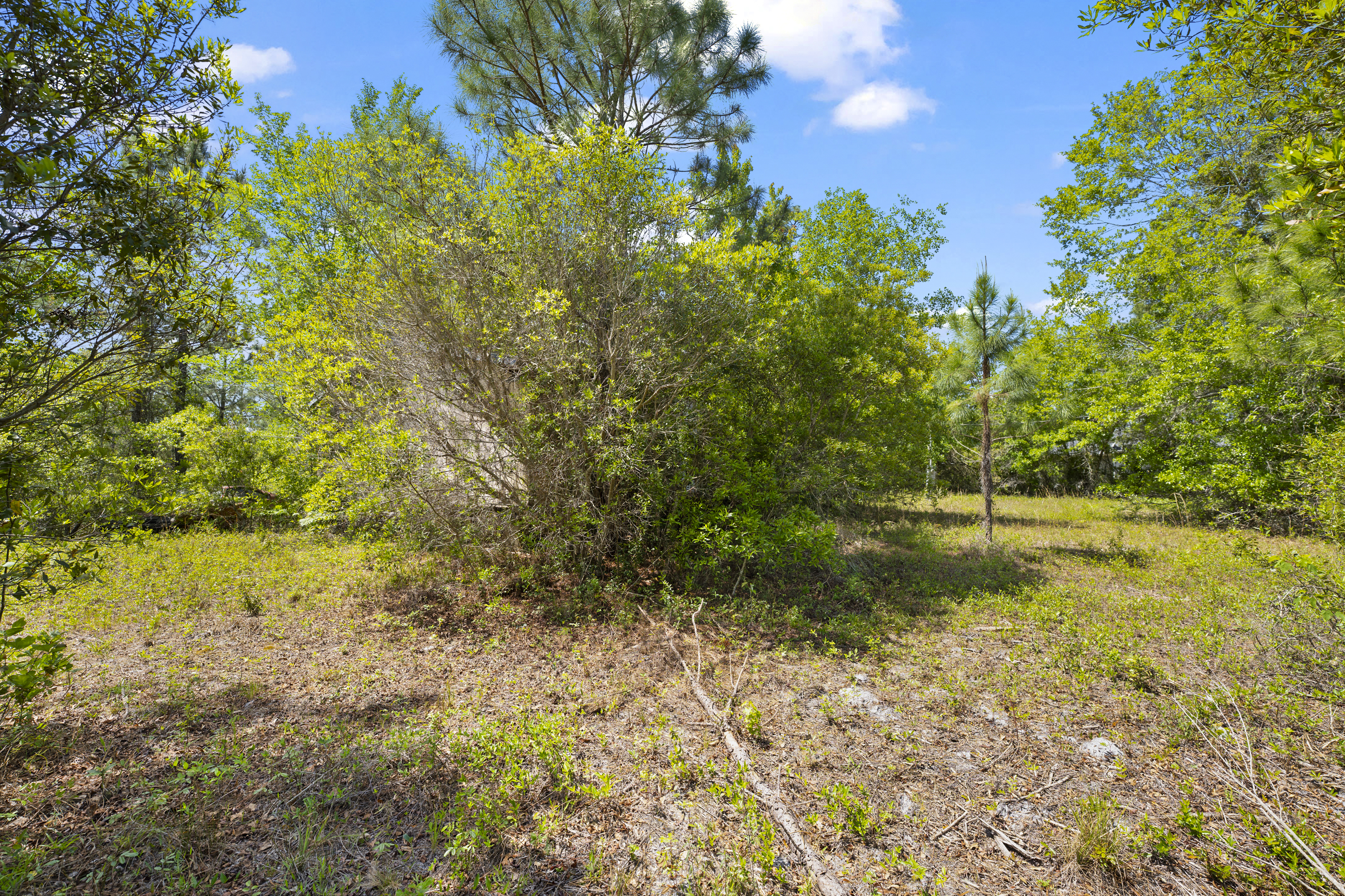  5371 Church Road, St. Augustine, FL, 32092 - 物件實景