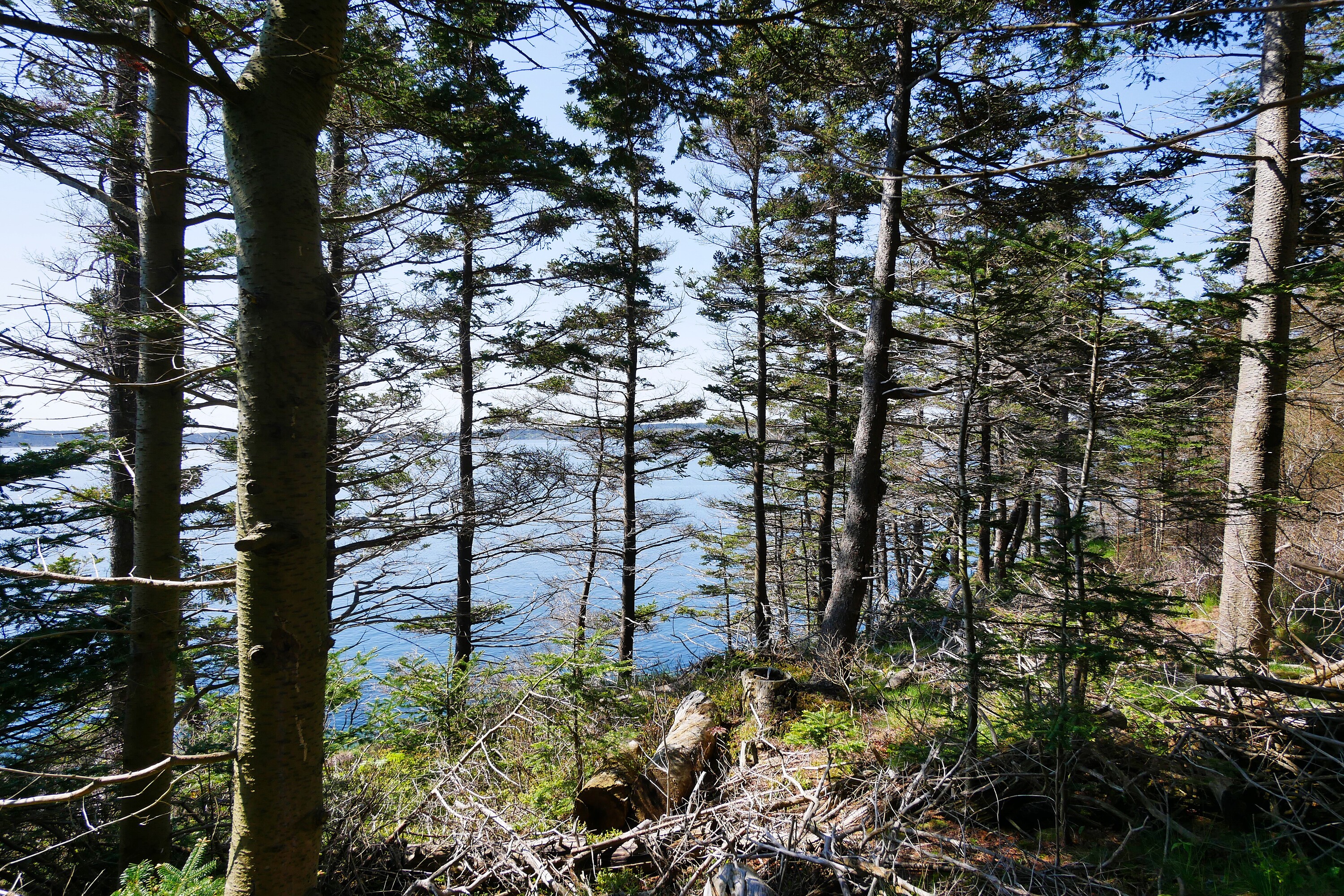  Feltzen South, South Shore - 物件實景