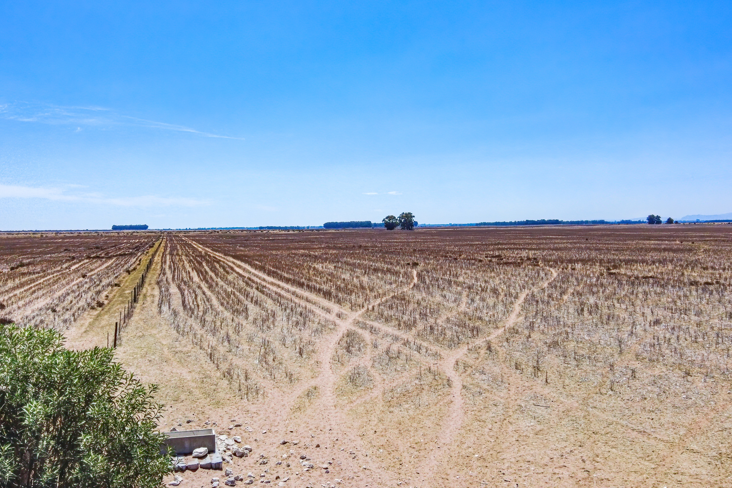  81/4 Brakfontein farm - 物件實景