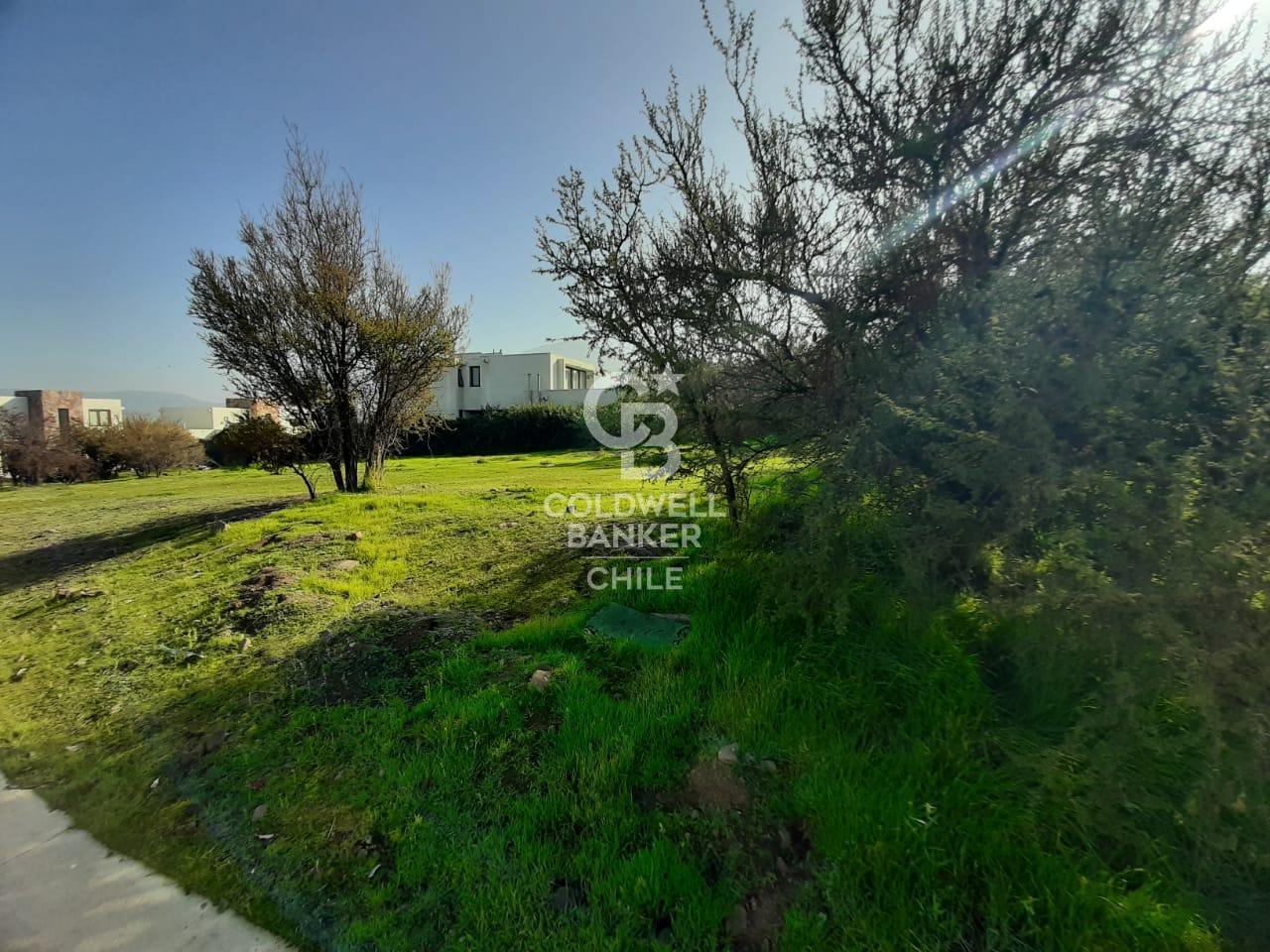 Colina, Chile, ,Land,For Sale,1906203