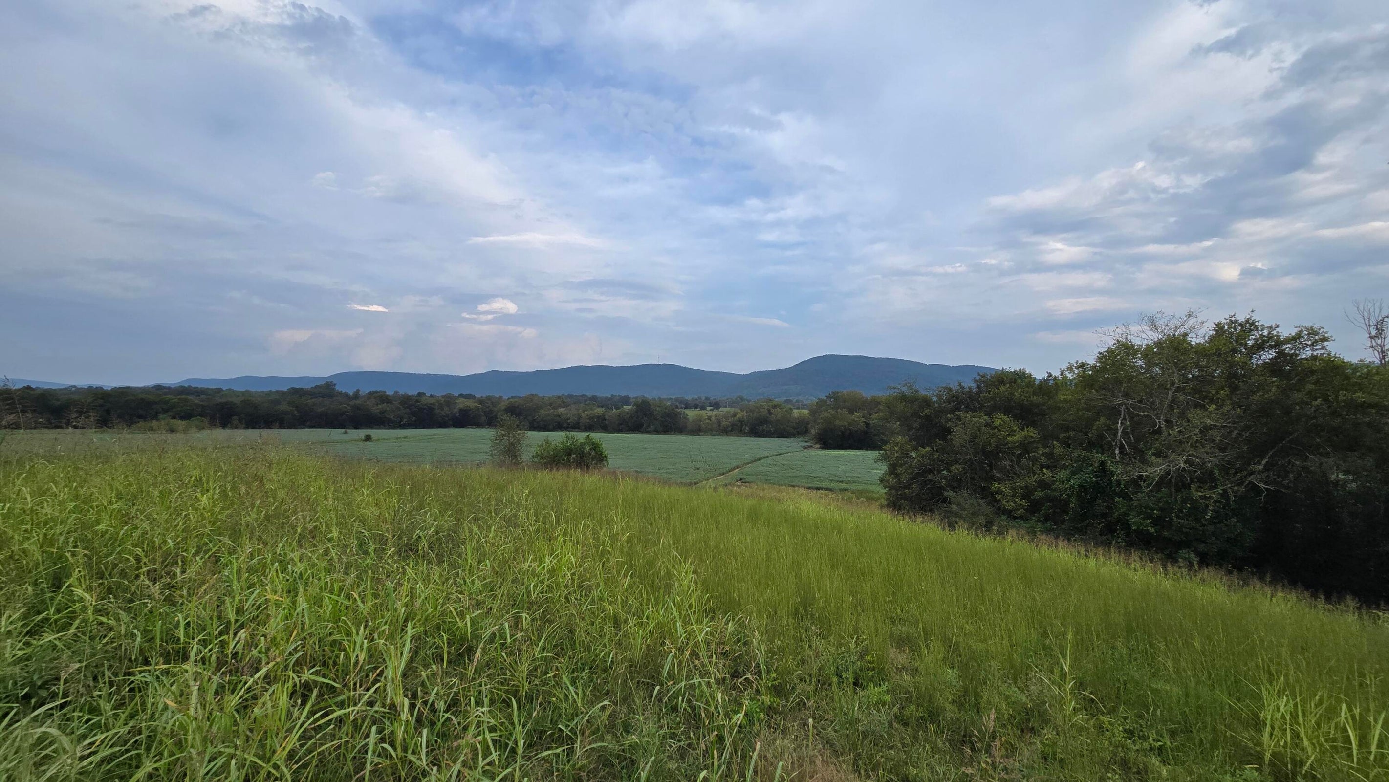 Pikeville, Tennessee, 37367, United States, ,Land,For Sale,1978902