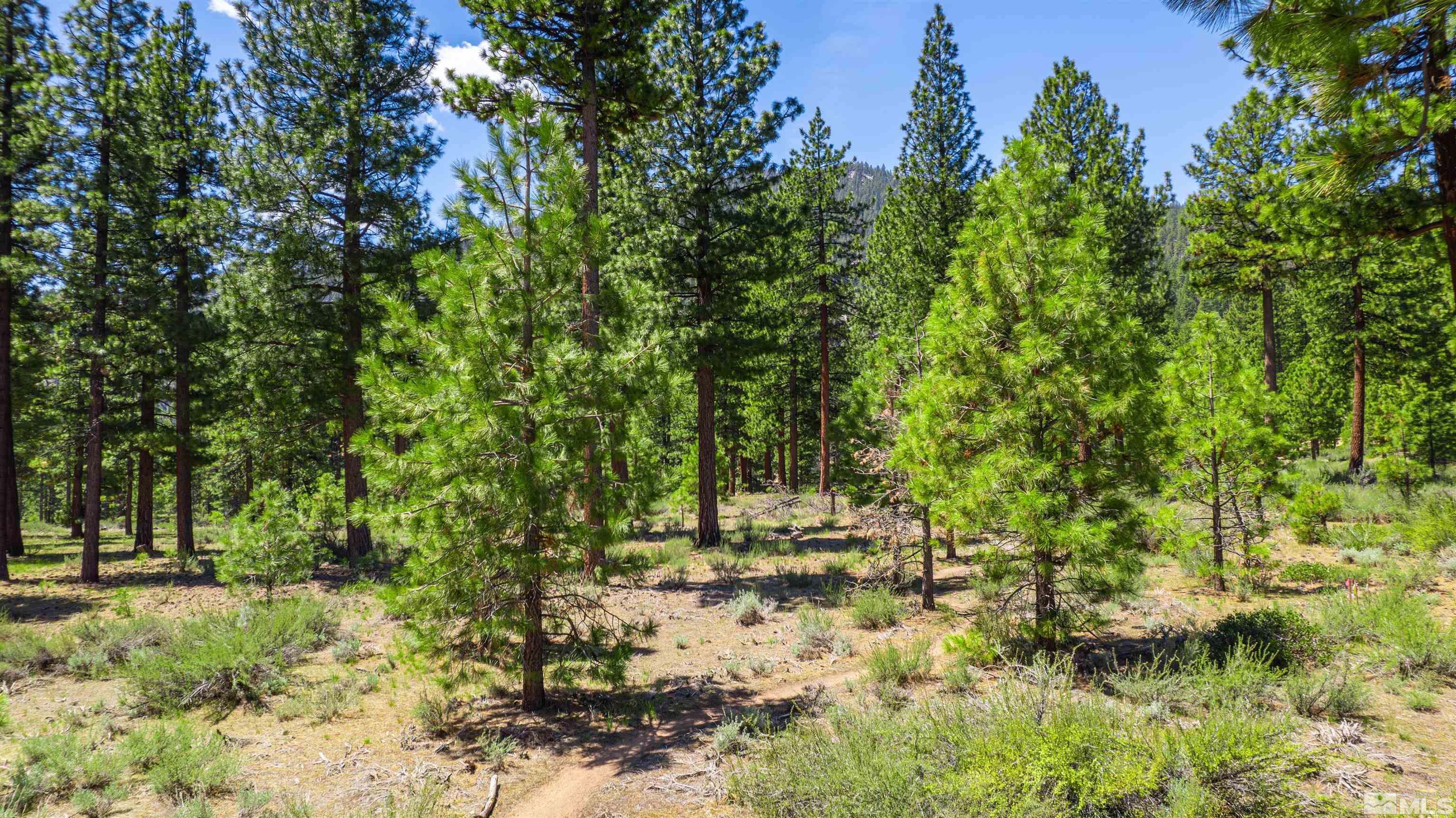 Carson City, Nevada, 89705, United States, ,Land,For Sale,1826407
