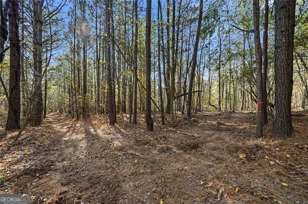 Jasper, Georgia, 30143, United States, ,Land,For Sale,1996551
