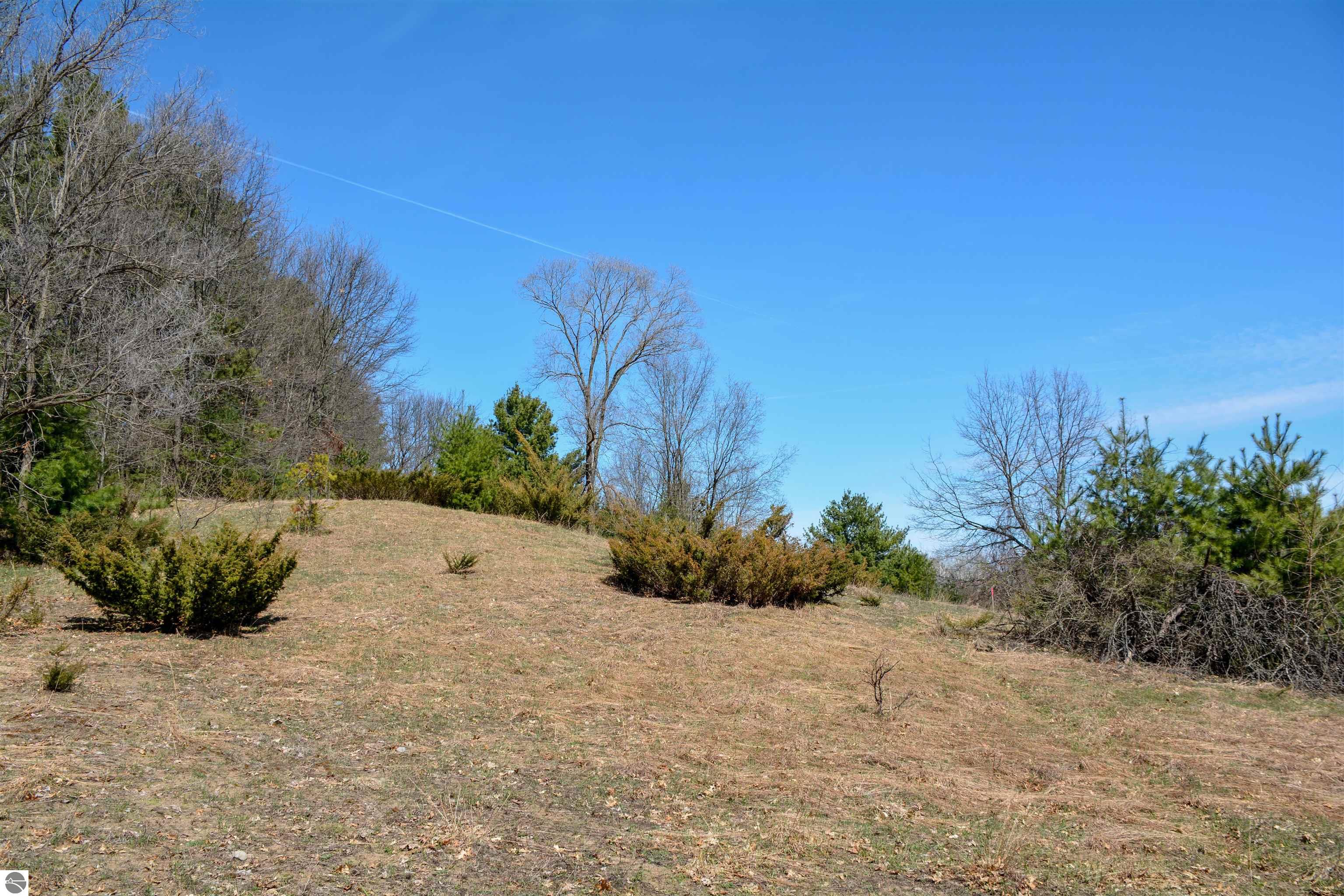 Traverse City, Michigan, 49696, United States, ,Land,For Sale,1850292