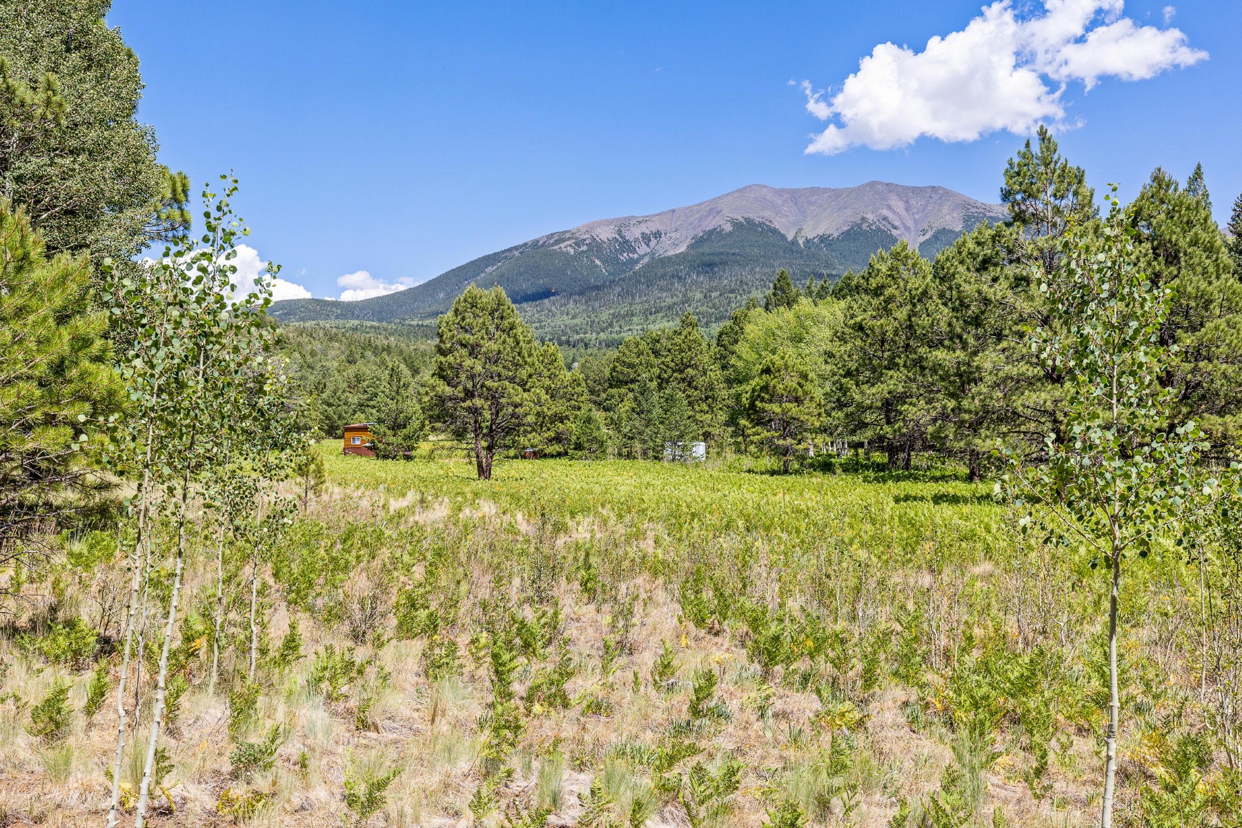  17787 N Forest Service 9004t Road ¦ Flagstaff, AZ - 物件實景