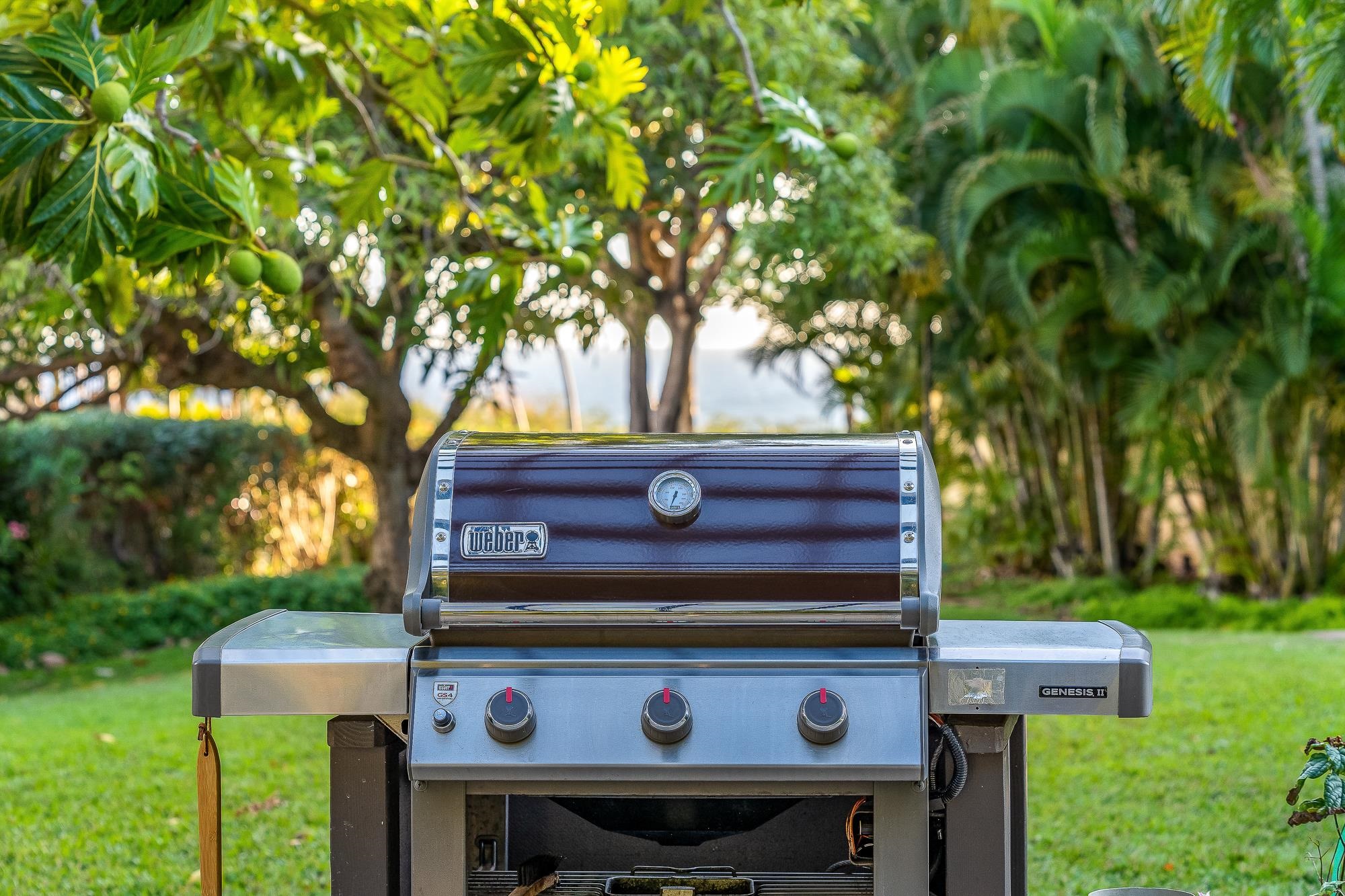 Kihei, Hawaii, 96753, United States, 1 Bedroom Bedrooms, ,2 BathroomsBathrooms,Residential,For Sale,1996903