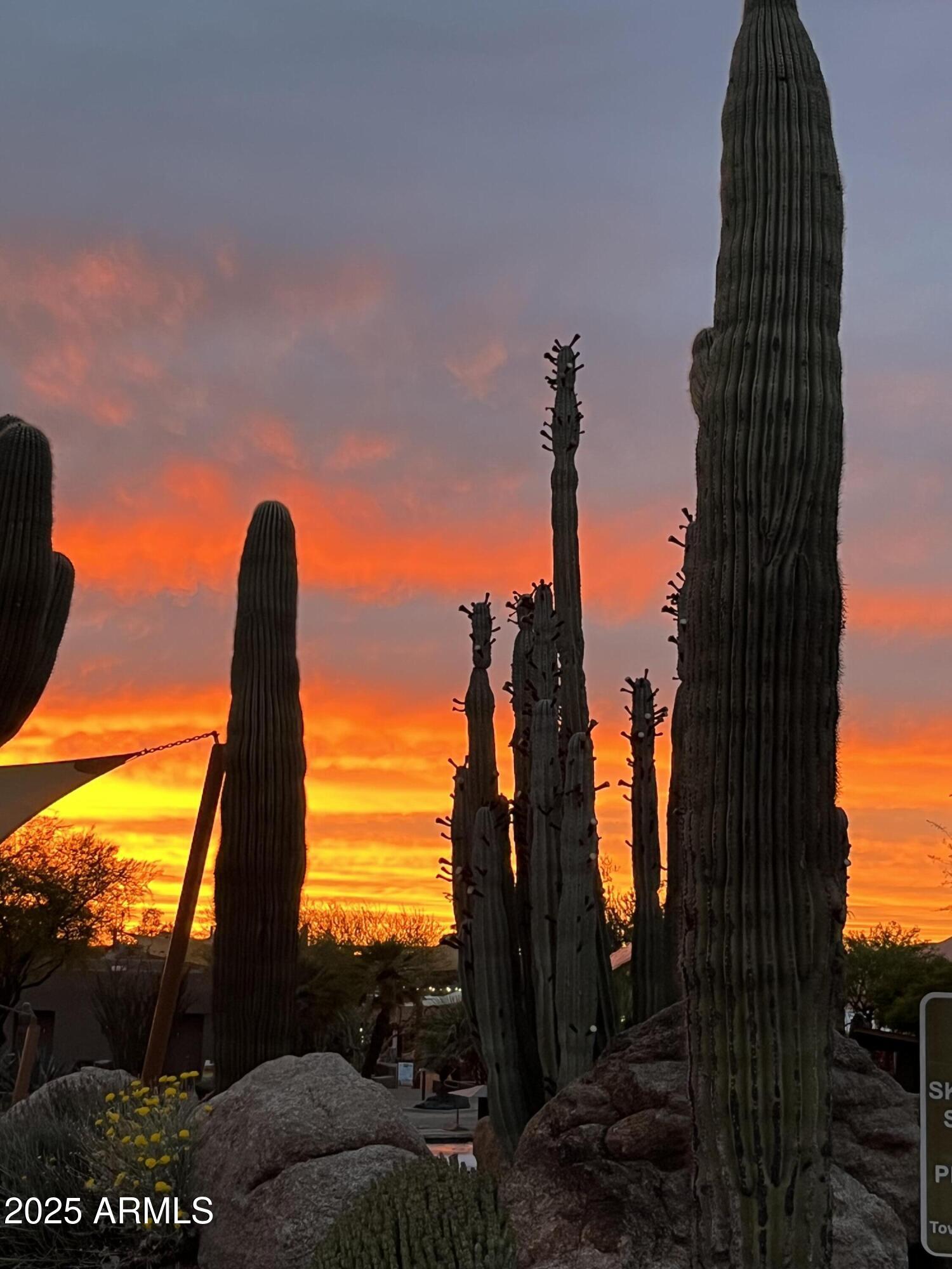 Carefree, Arizona, 85377, United States, 3 Bedrooms Bedrooms, ,3 BathroomsBathrooms,Residential,For Sale,1989596