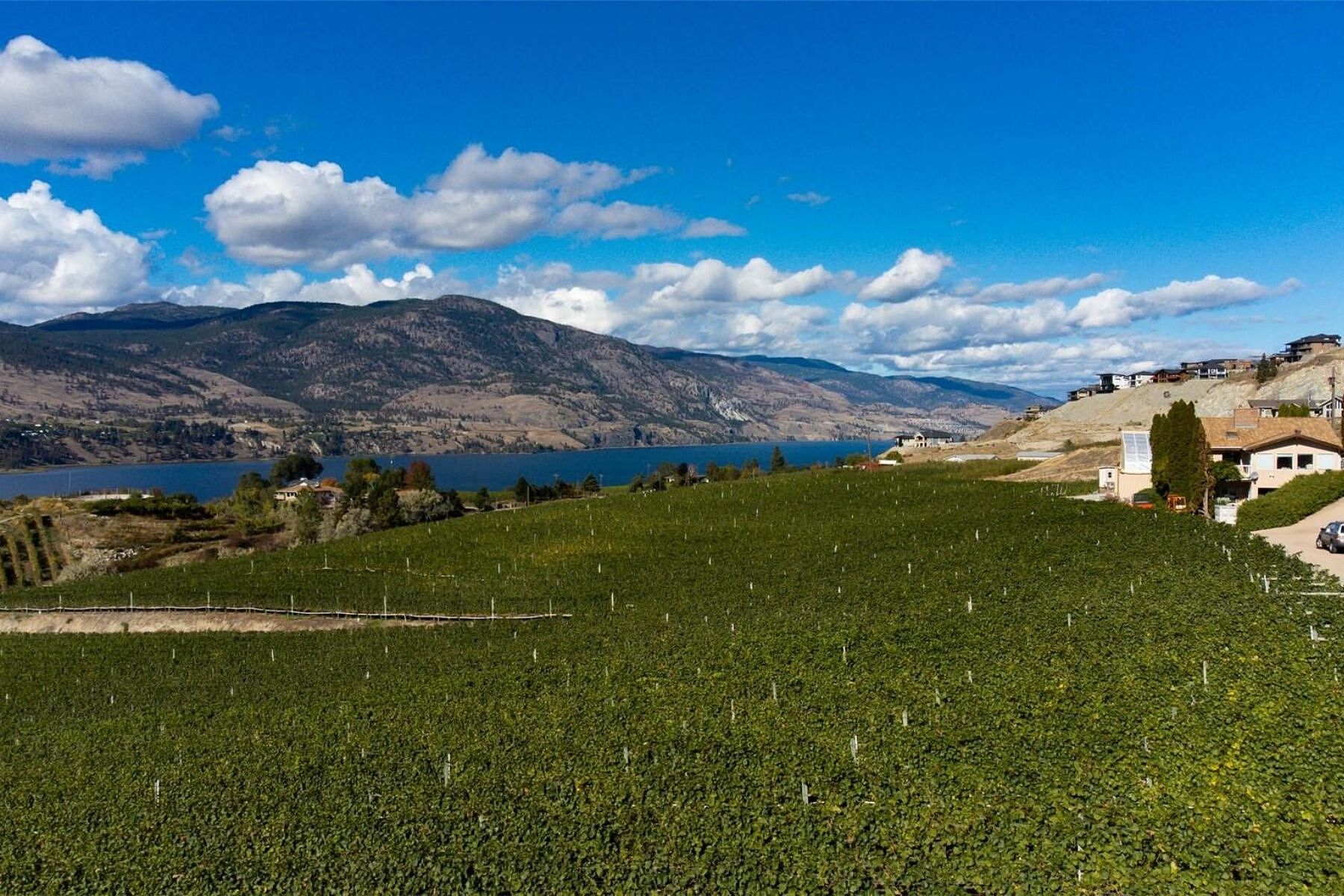  Boutique Okanagan Winery - 物件實景