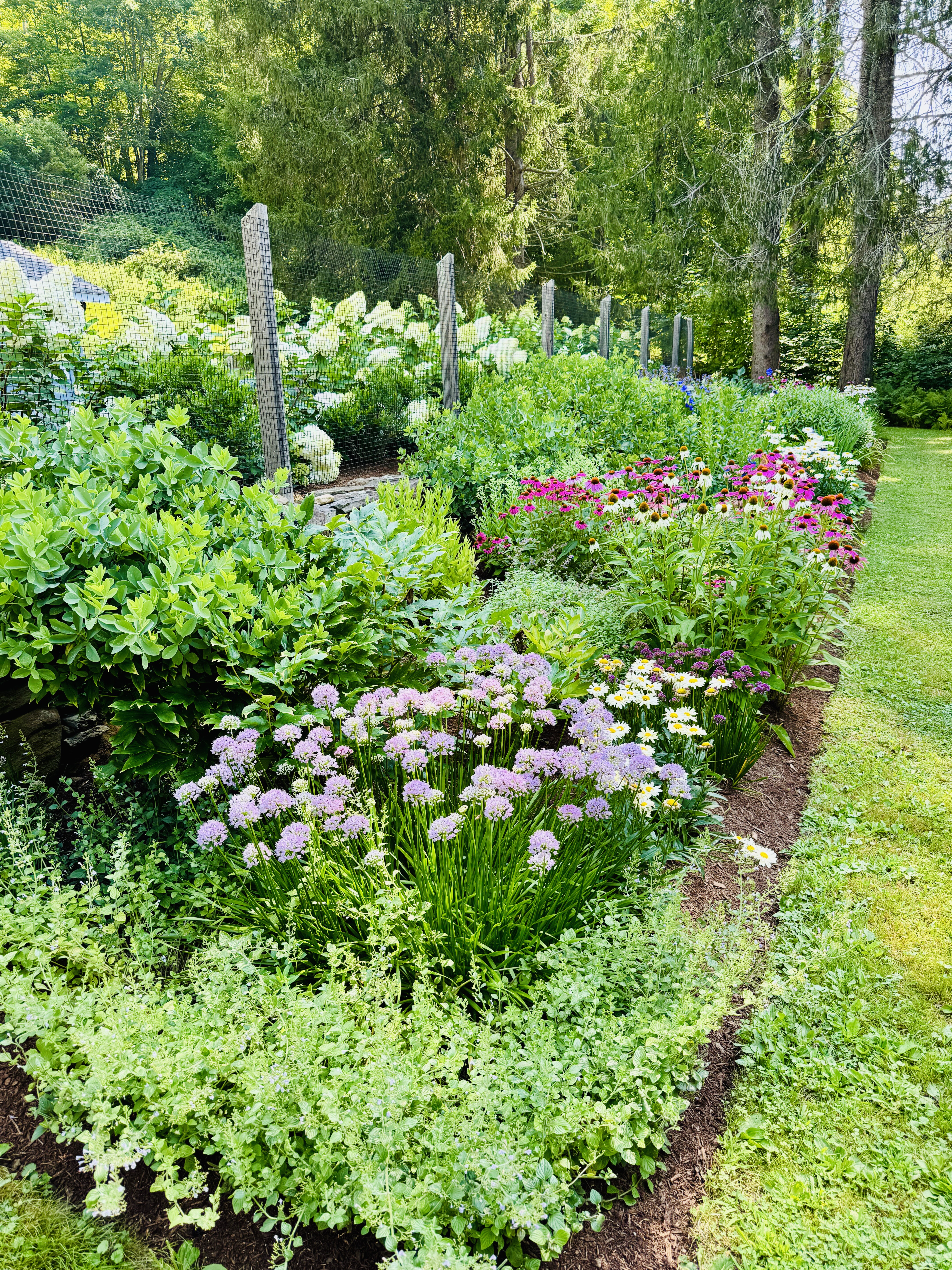  76 Blackville Road - 物件實景