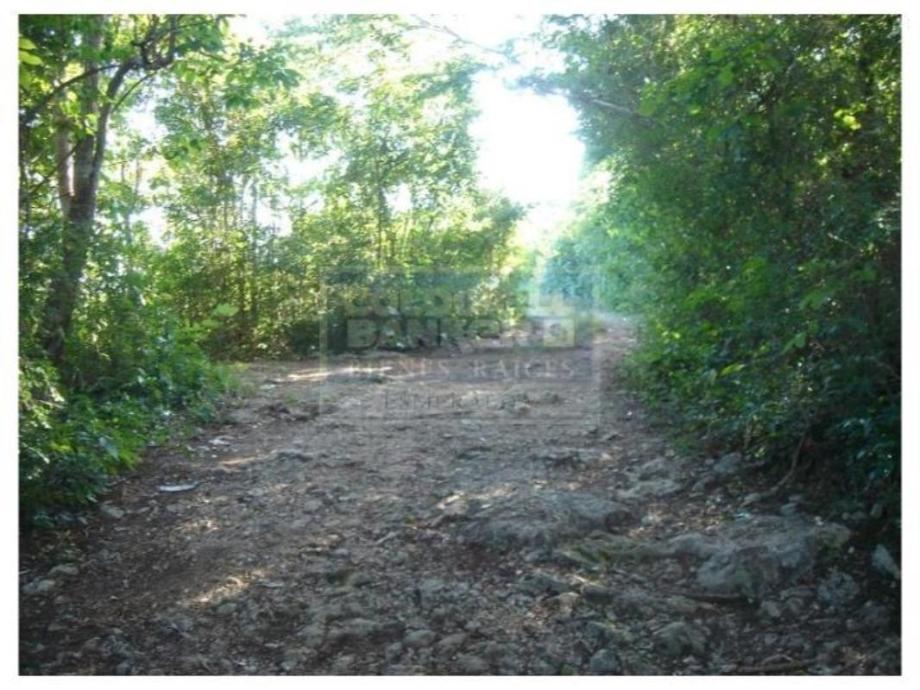 Carretera Federal M?rida-Valladolid, Benito Juárez, Quintana Roo, 77500, Mexico, 1 Bedroom Bedrooms, ,Residential,For Sale,Carretera Federal M?rida-Valladolid,1443849