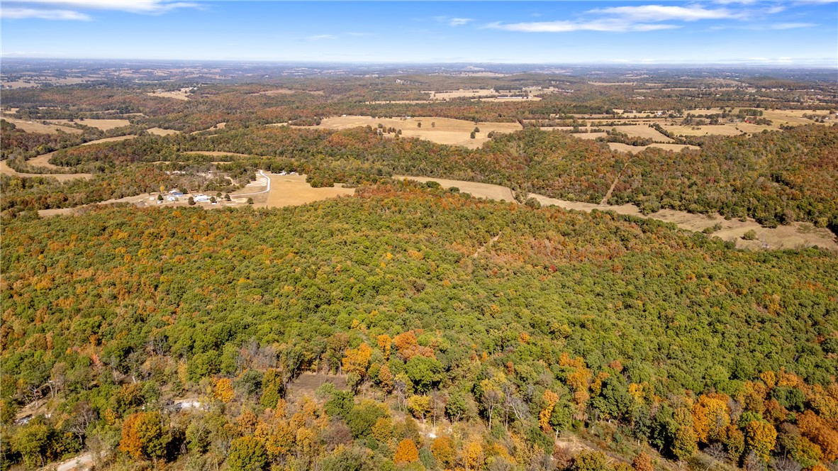 Harrison, Arkansas, 72601, United States, ,Land,For Sale,1903460