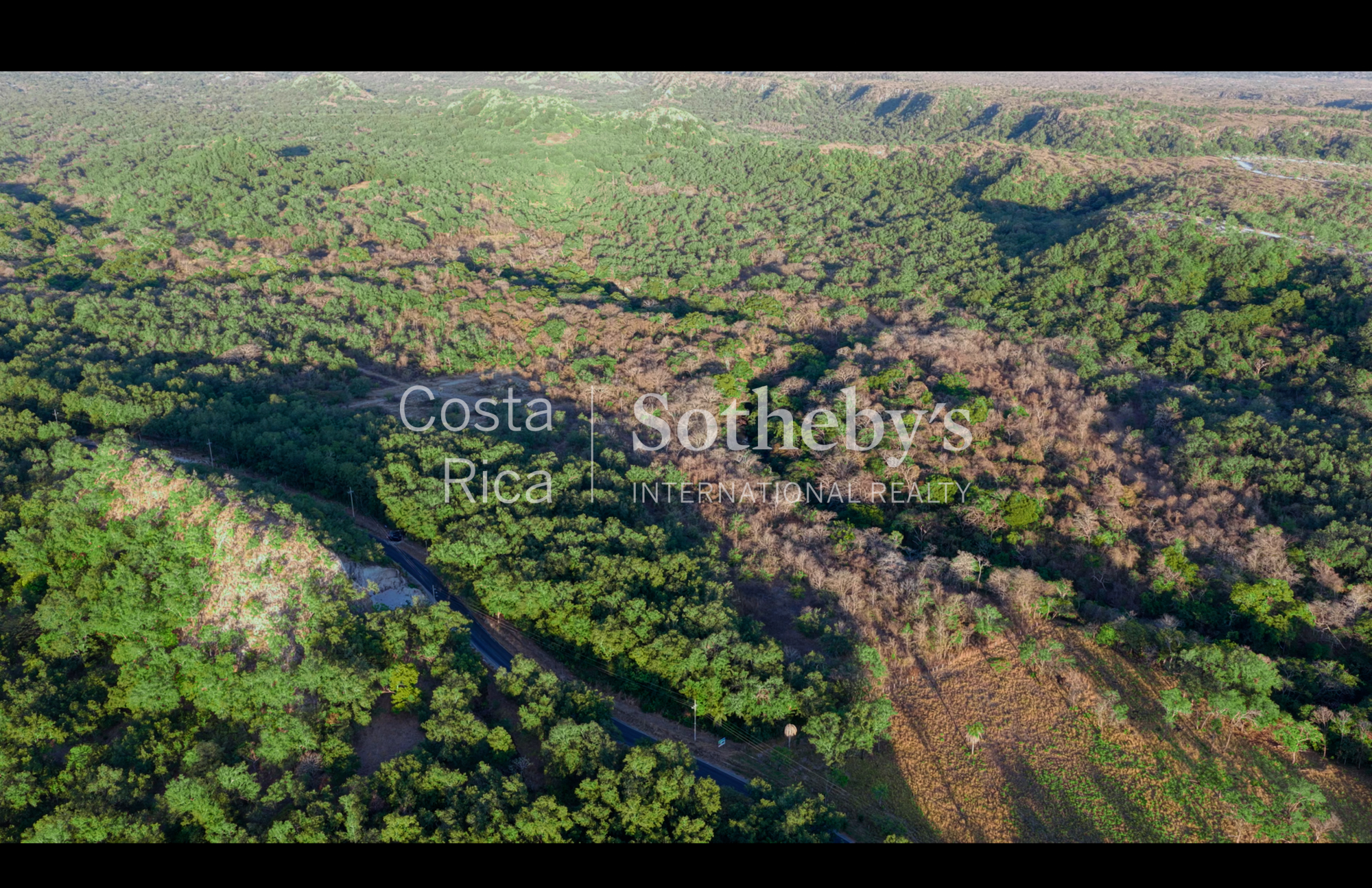  Curubande River Forest Treasure - 物件實景