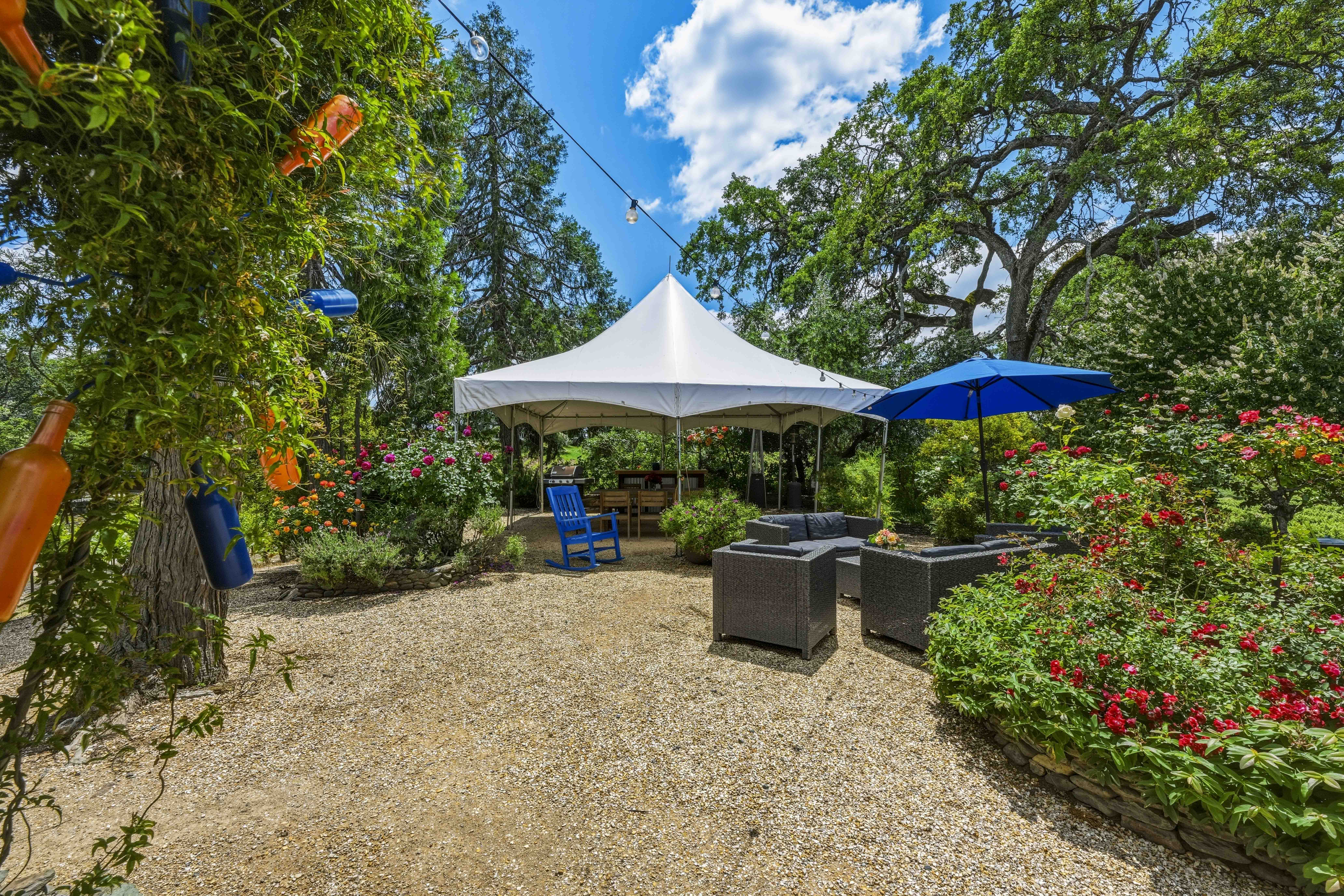  10120 Shenandoah Road, Plymouth, CA 95669 - 物件實景