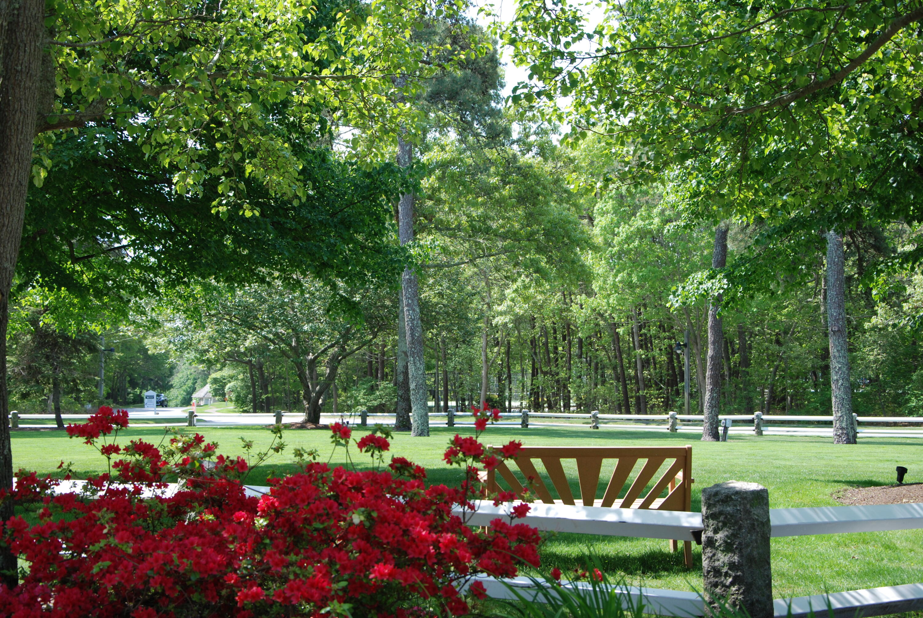  16 West Woods, Yarmouth Port, MA, 02675 - 物件實景