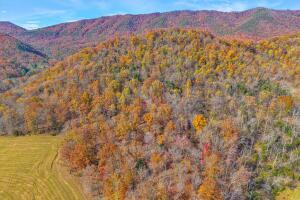 Fincastle, Virginia, 24090, United States, ,Residential,For Sale,1989448