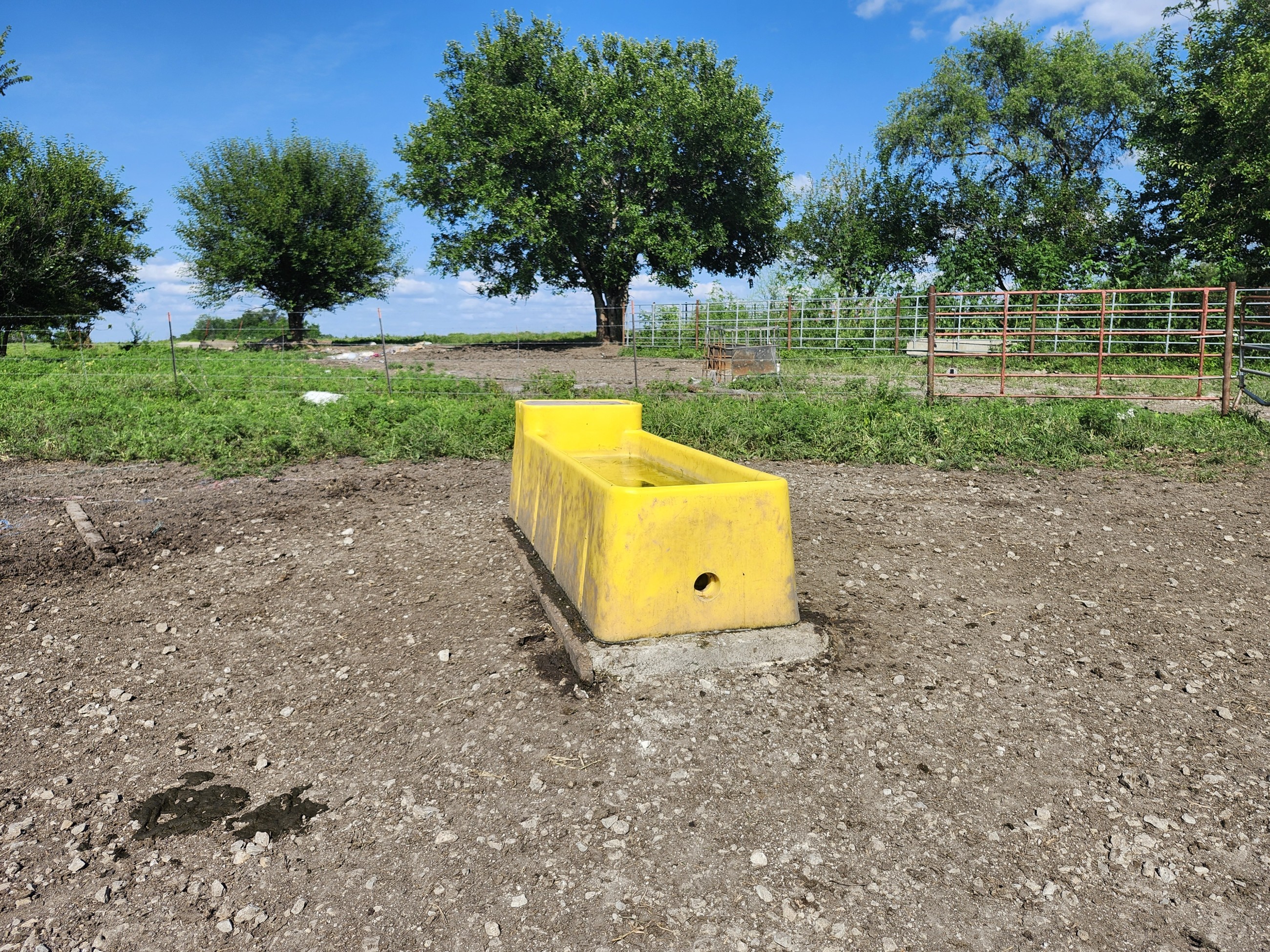 Princeton, Missouri, 64673, United States, ,Land,For Sale,2001559