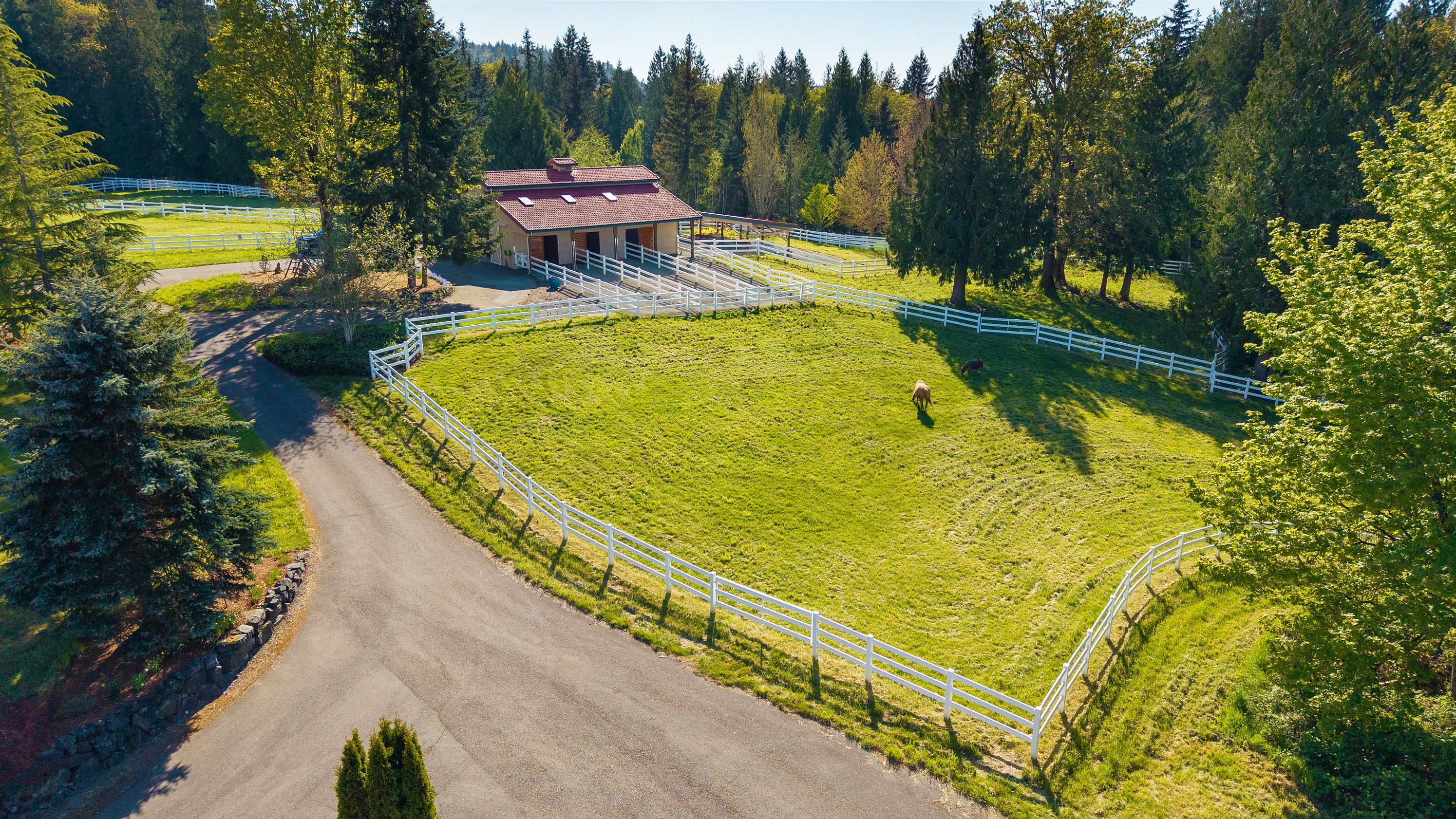 29016 SE 45th St, Fall City, WA 98024 - 物件實景