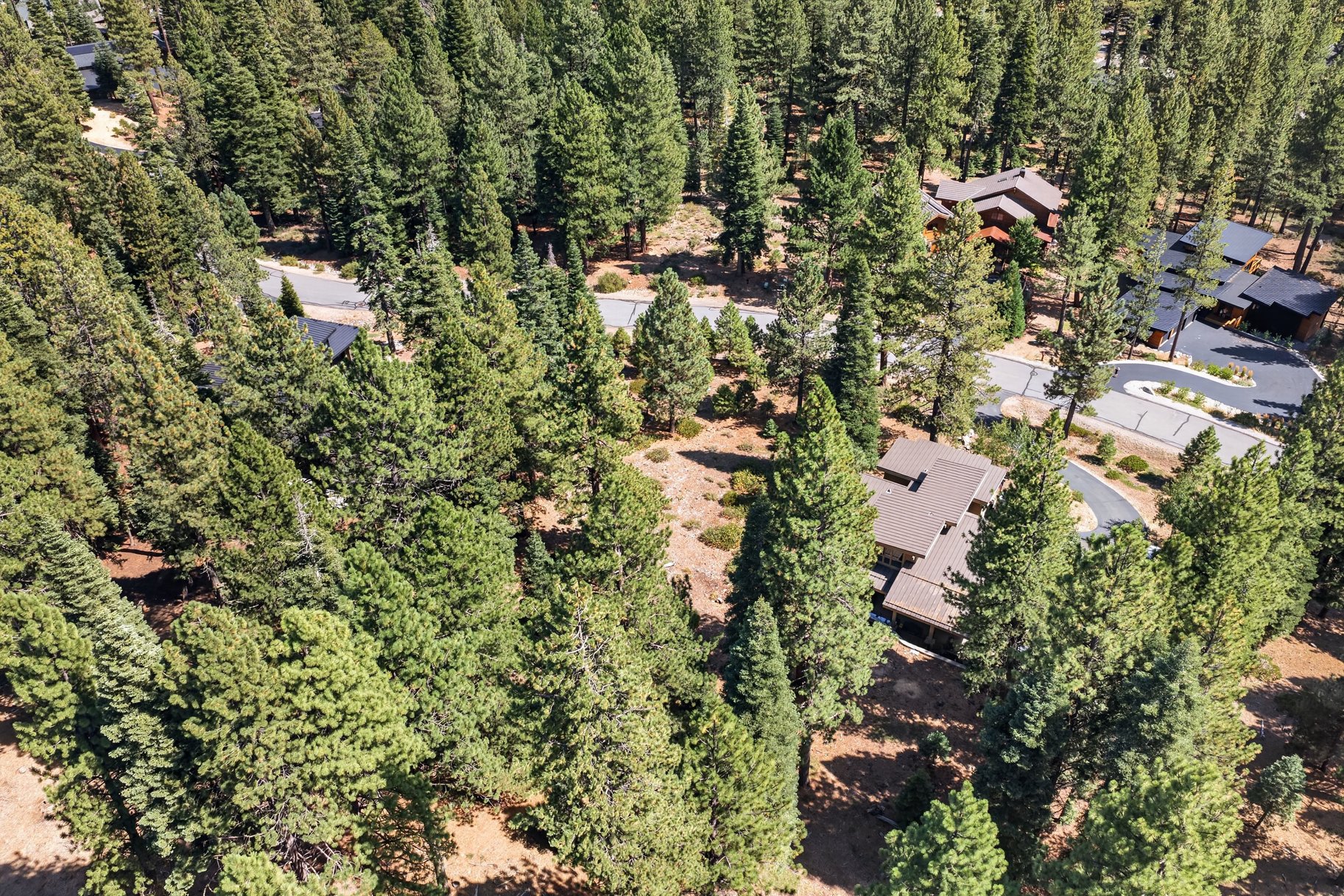  Half Acre, Privacy, and a Central Truckee Address - 物件實景