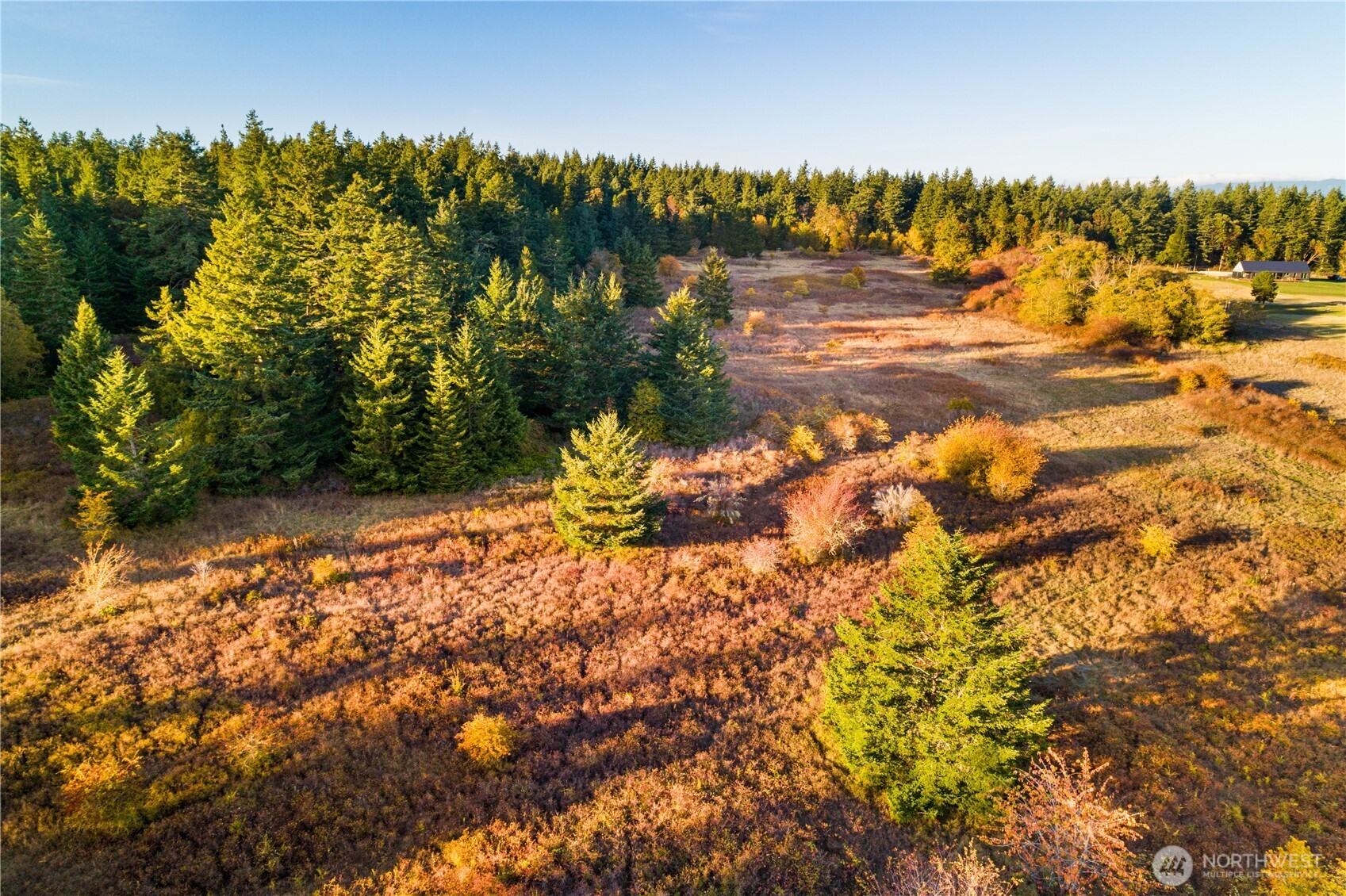 Friday Harbor, Washington, 98250, United States, ,Land,For Sale,1991931