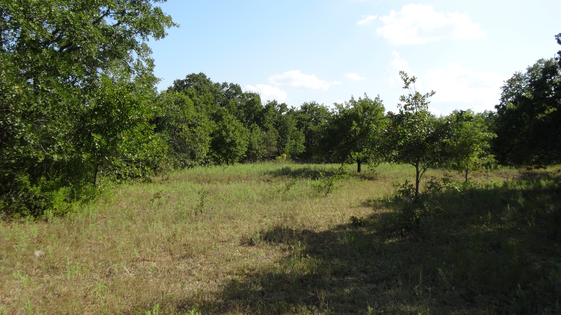 0 Highway 114, Boyd, Texas, 76023, United States, ,Residential,For Sale,0 Highway 114,1008641