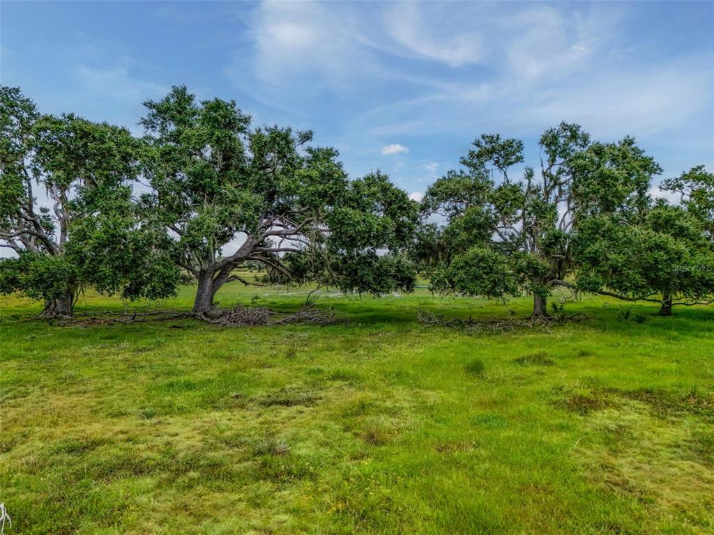 Myakka City, Florida, 34251, United States, ,Land,For Sale,1908306