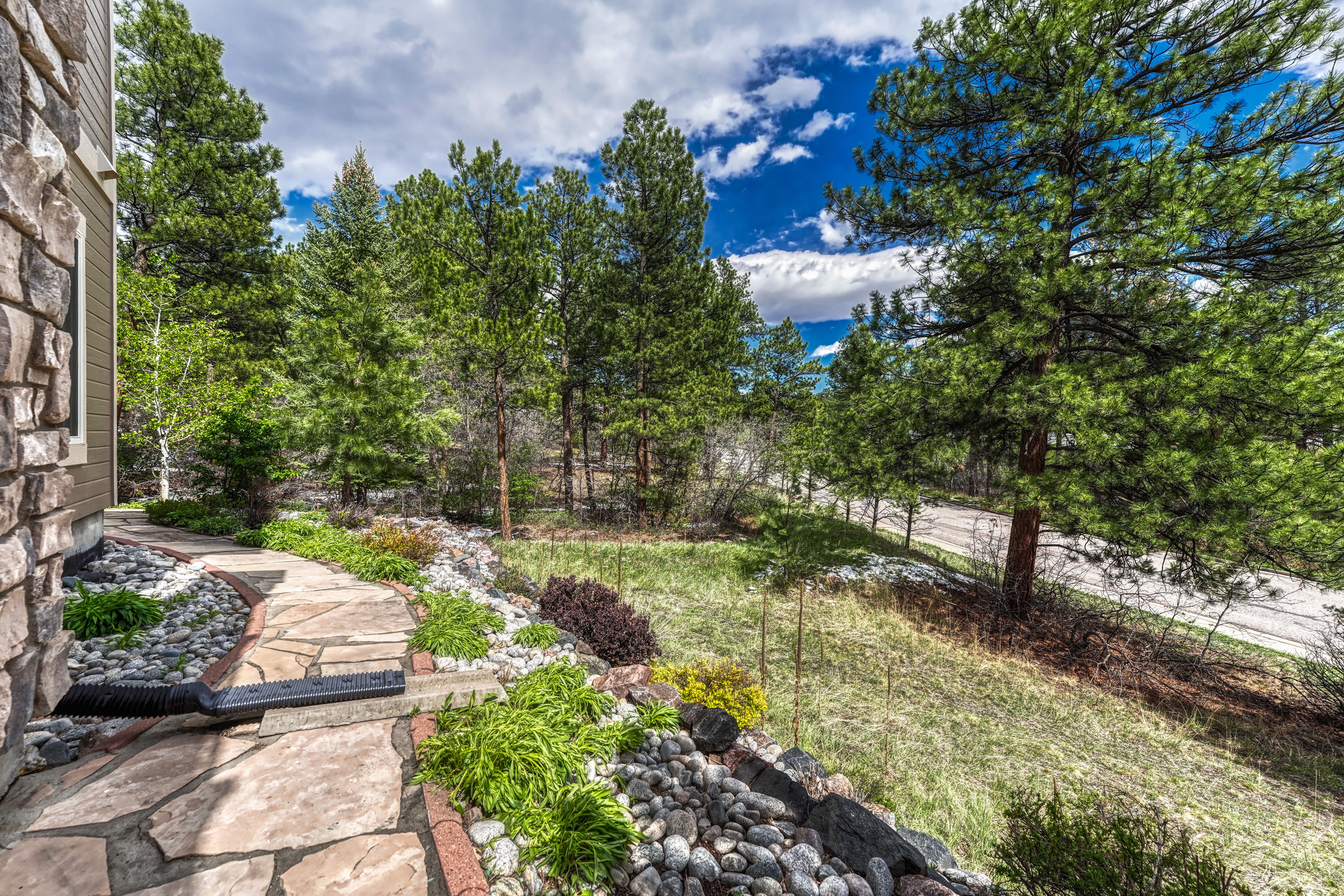  Forest Park Ranch Home with Golf Course Views - 物件實景