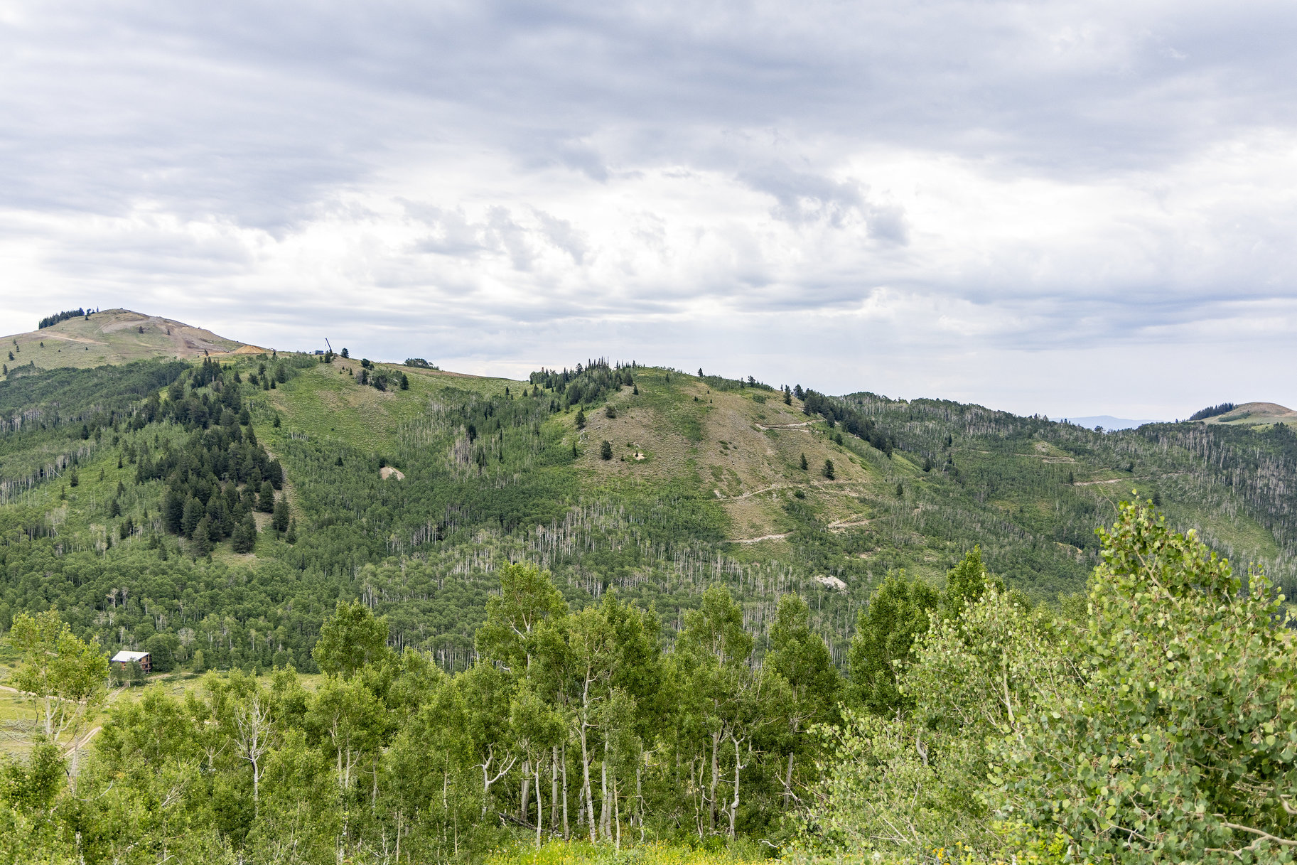  24 Acre Development Parcel in Bonanza Flats - 物件實景