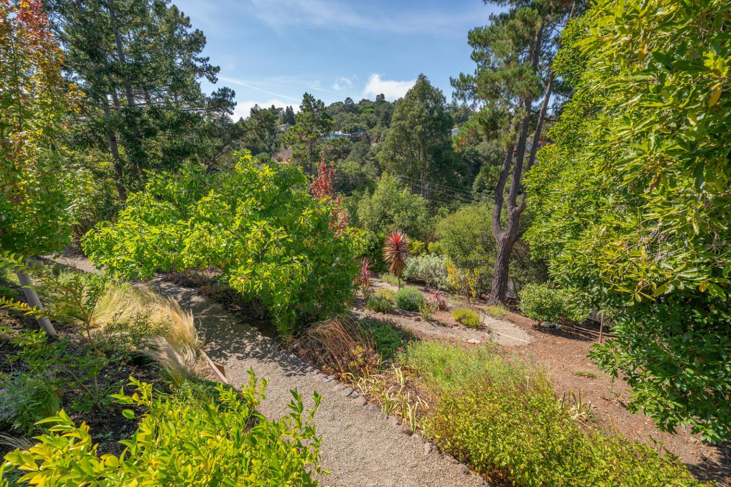 Hillsborough, California, 94010, United States, 4 Bedrooms Bedrooms, ,4 BathroomsBathrooms,Residential,For Sale,1940543