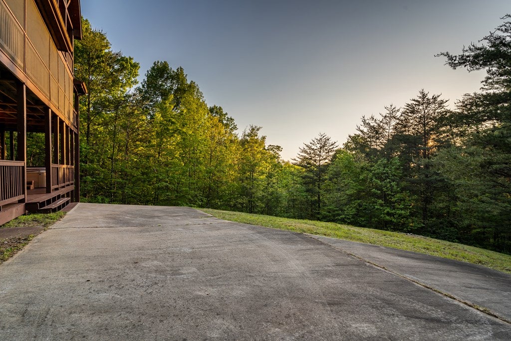 Mineral Bluff, Georgia, 30559, United States, 3 Bedrooms Bedrooms, ,3 BathroomsBathrooms,Residential,For Sale,1986292