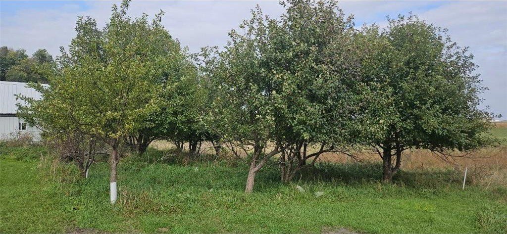 Osakis, Minnesota, 56360, United States, 3 Bedrooms Bedrooms, ,1 BathroomBathrooms,Residential,For Sale,1983386