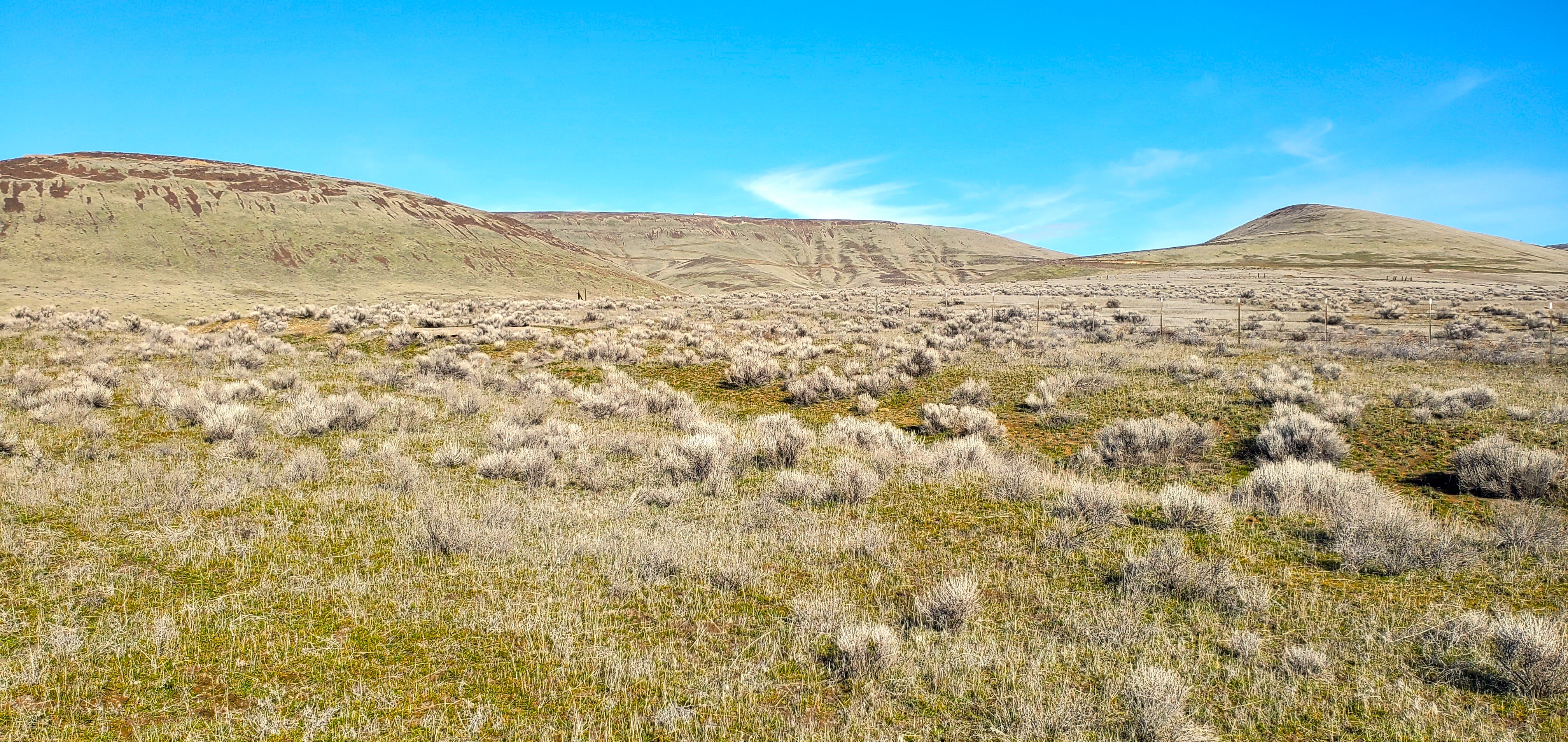  351 Kristi Lane, Yakima, WA 98901 - 物件實景