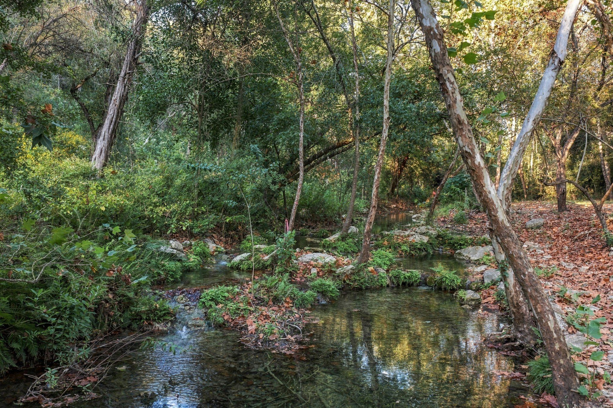  Private acreage in The Estates of Barton Creek - 物件實景