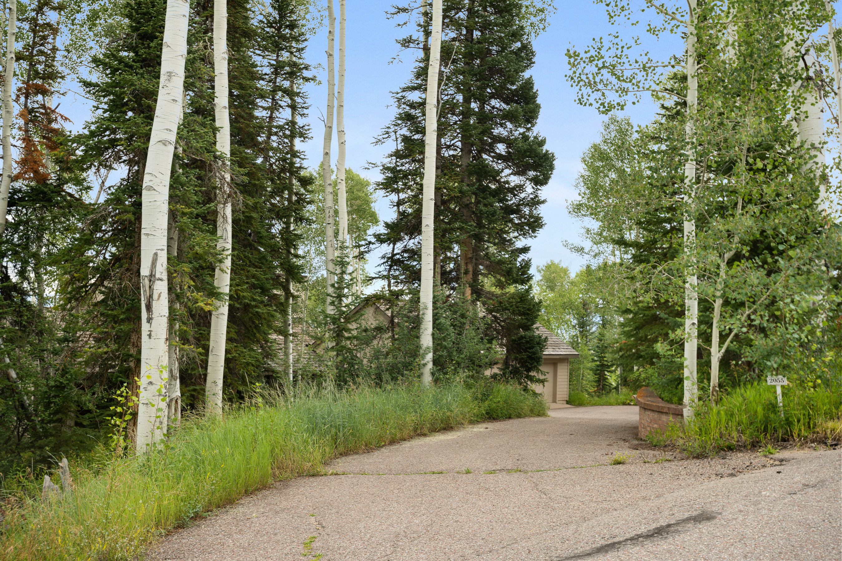  2055 Faraway Road, Snowmass Village, CO 81615 - 物件實景