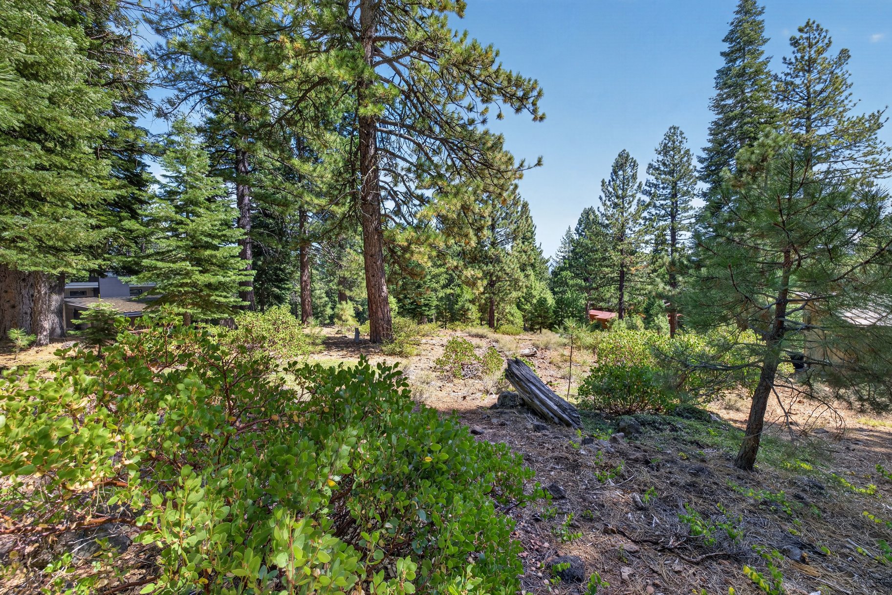 Half Acre, Privacy, and a Central Truckee Address - 物件實景