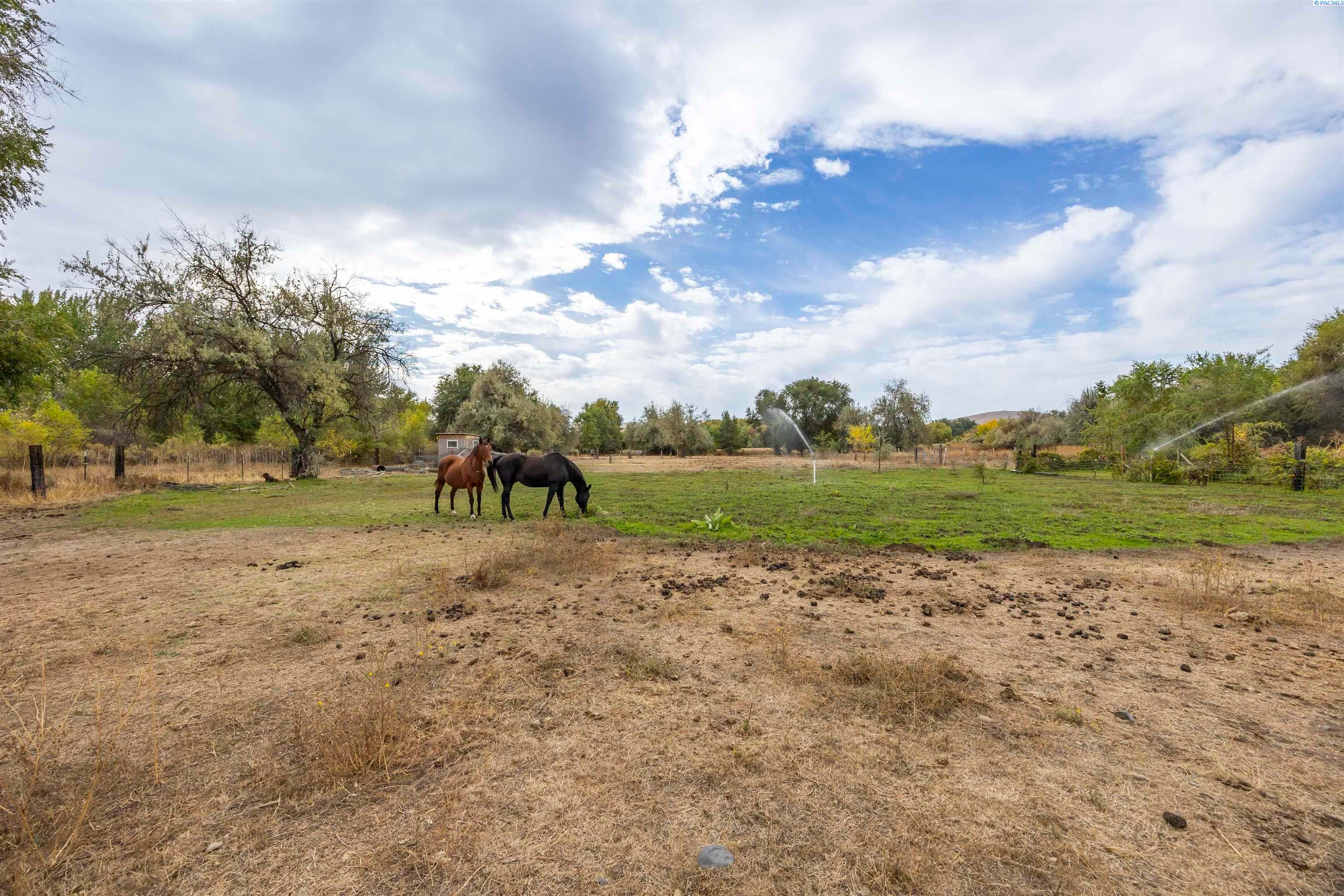 Richland, Washington, 99354, United States, 3 Bedrooms Bedrooms, ,2 BathroomsBathrooms,Residential,For Sale,1978459