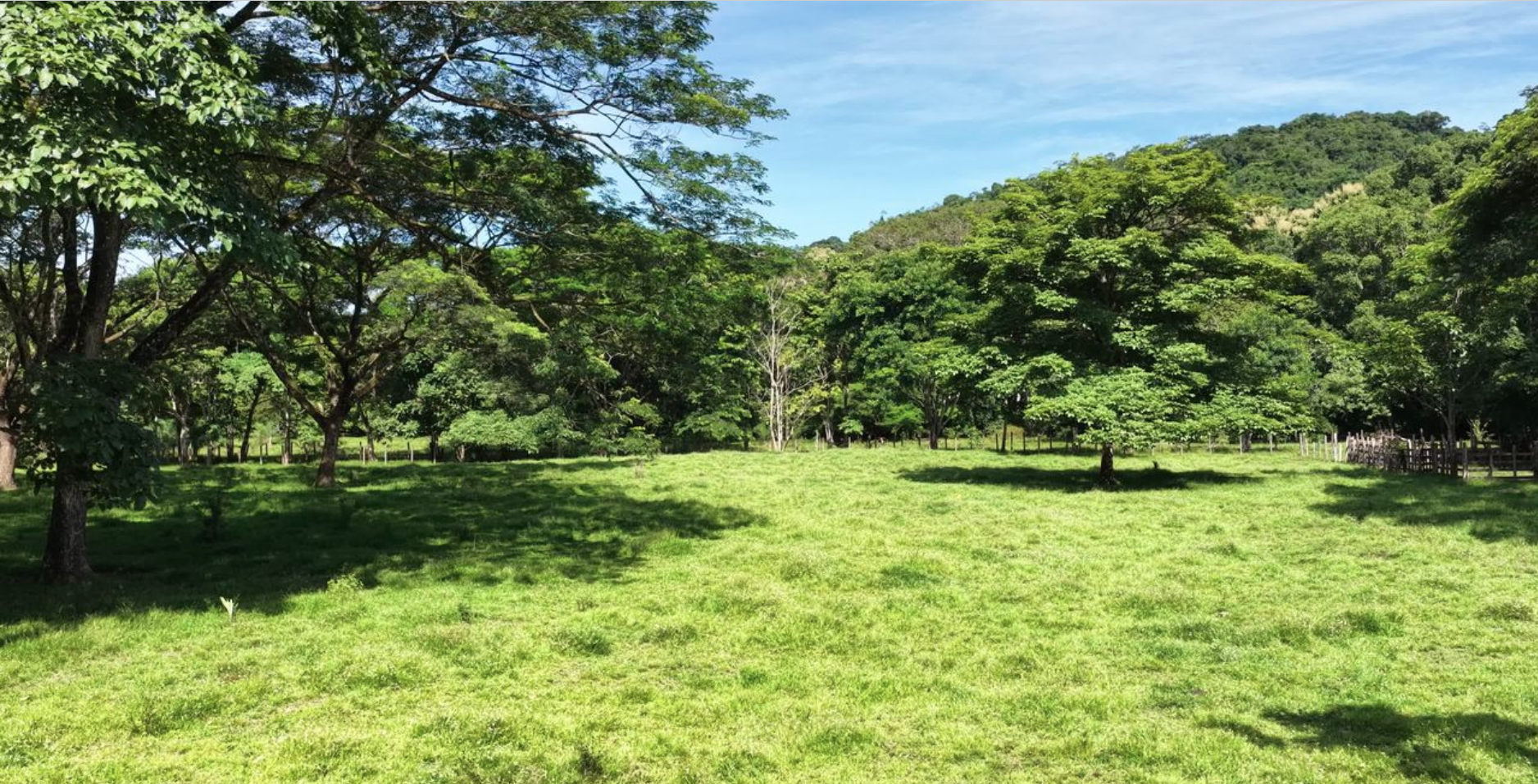 Playa Coyote, Guanacaste, CR, ,Land,For Sale,1949754