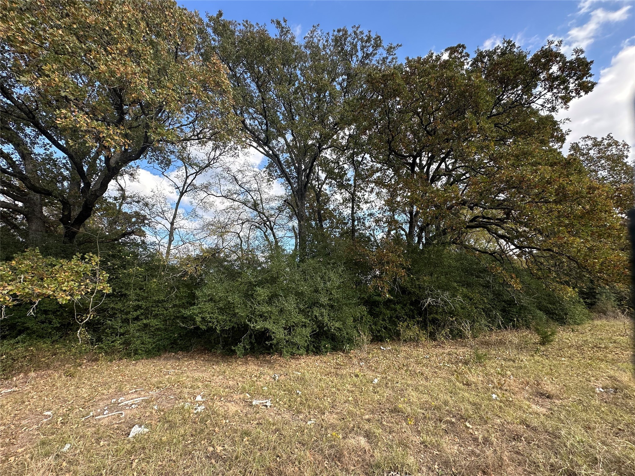 Thornton, Texas, 76687, United States, ,Land,For Sale,1995546