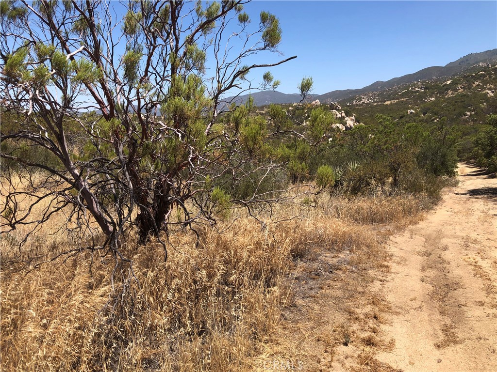0 Centennial Street, Aguanga, California, 92536, United States, ,Land,For Sale,0 Centennial Street,1474823