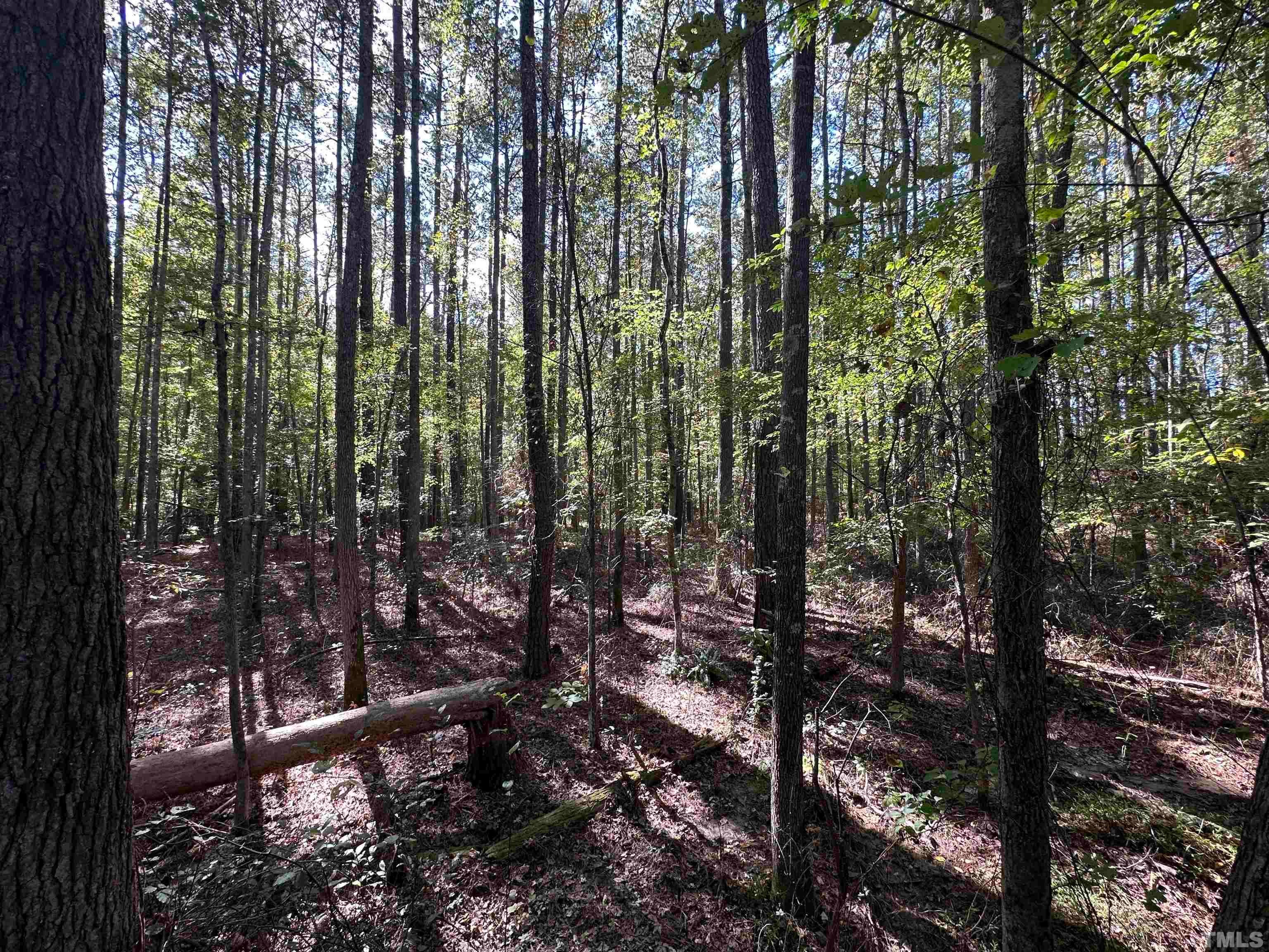 8017 Farrington Mill Road, Chapel Hill, North Carolina, 27517, United States, ,Land,For Sale,8017 Farrington Mill Road,1623508