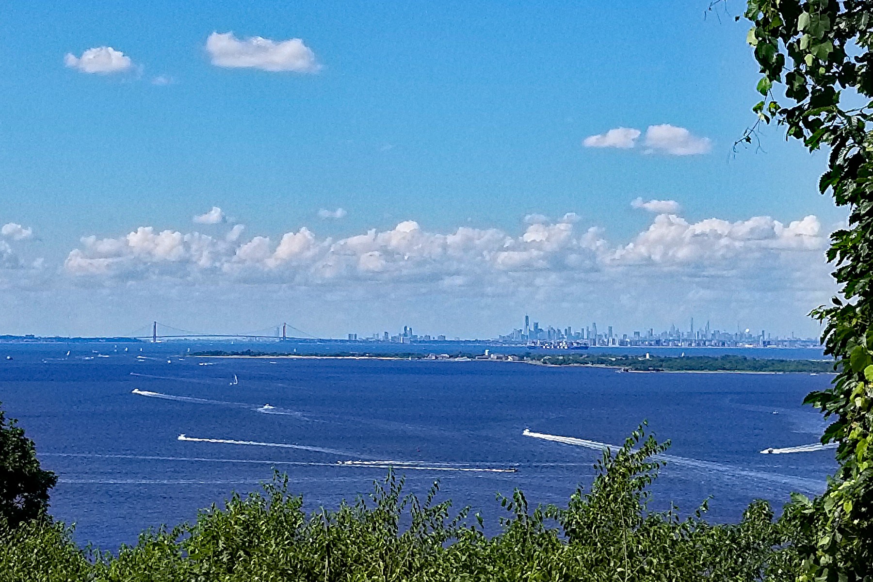  Views from the Vista - 物件實景