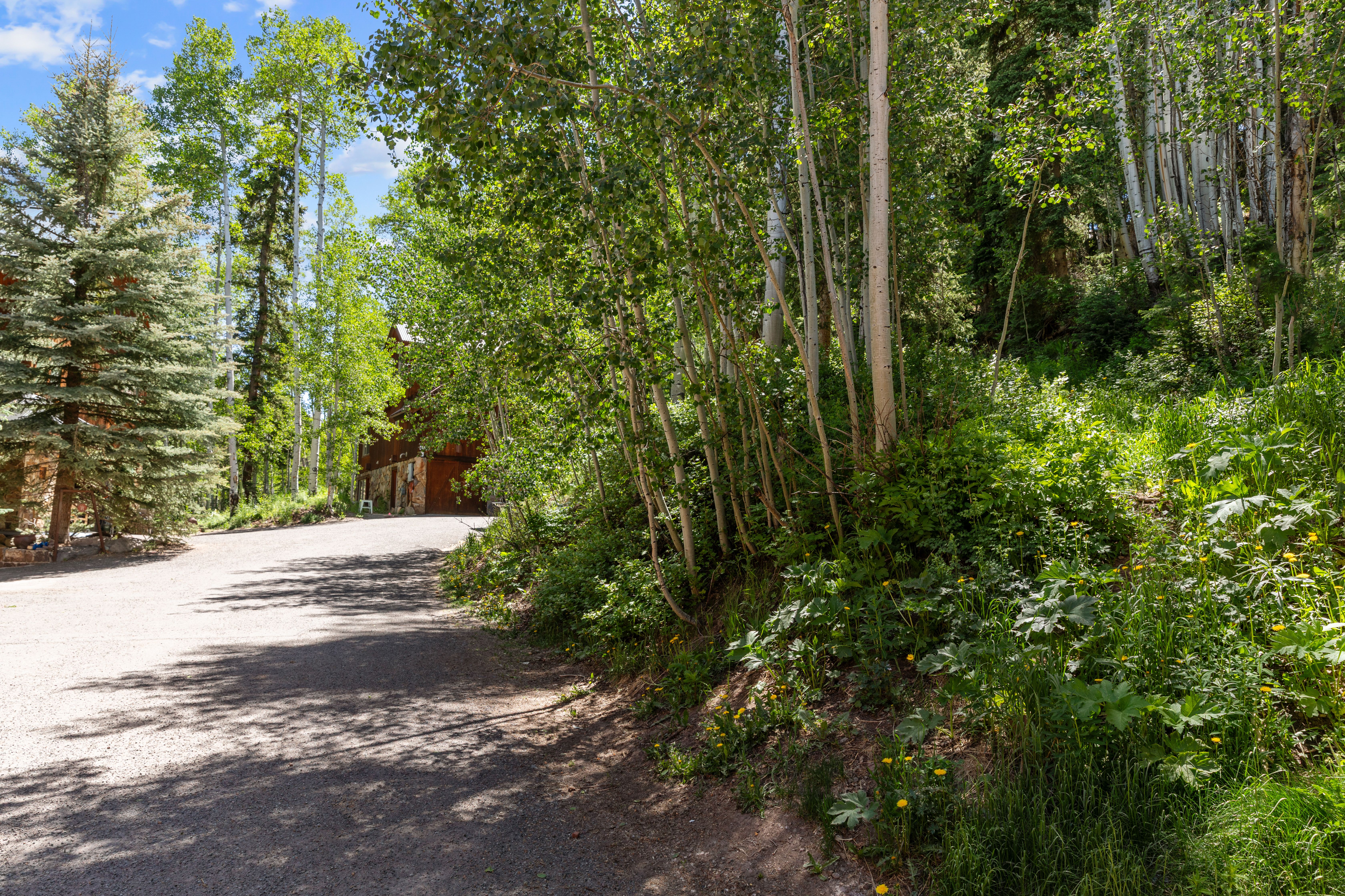  Private Homesite in Telluride - Walk-to-Ski - 物件實景