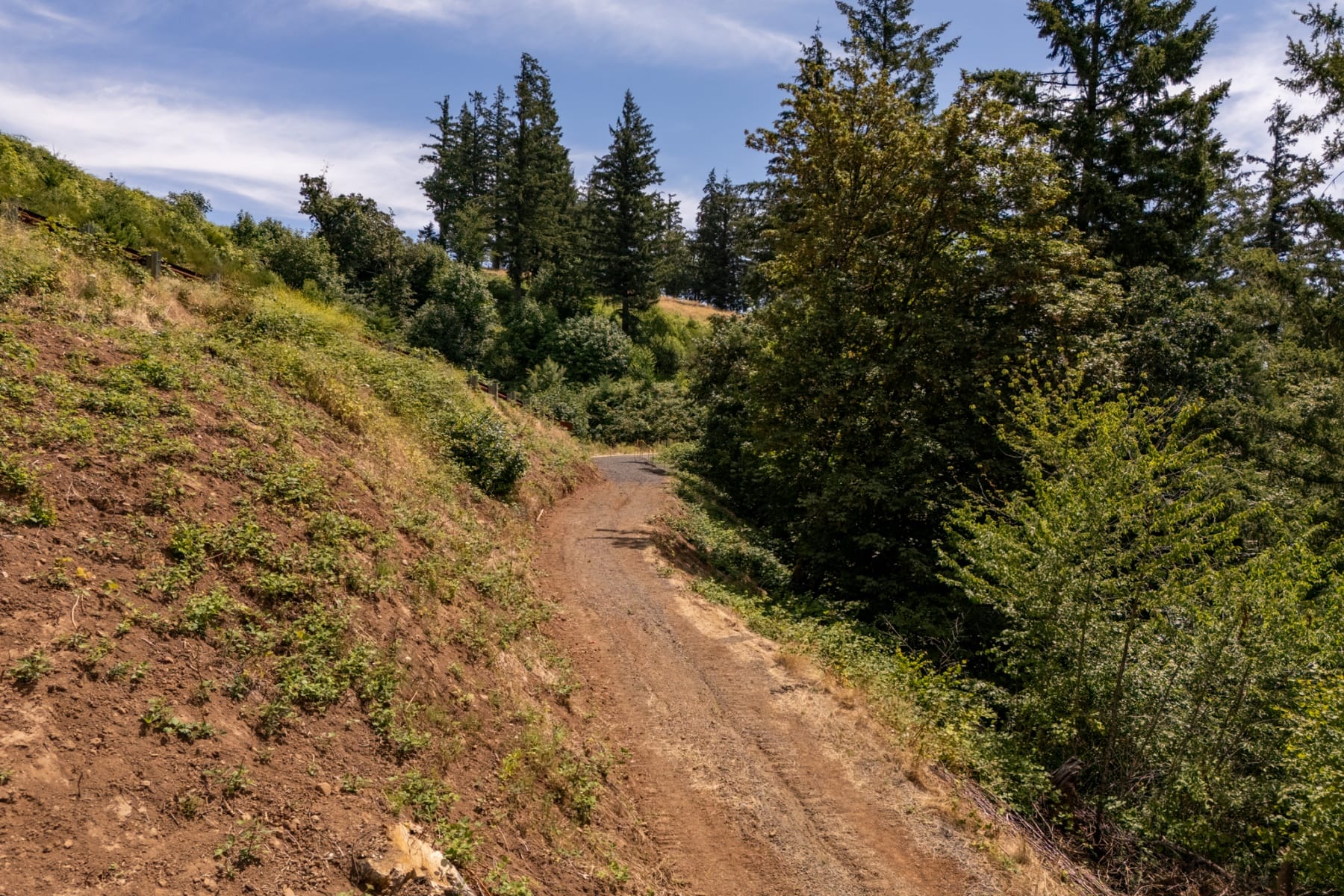  30540 NE BELL RD Newberg, OR 97132 - 物件實景