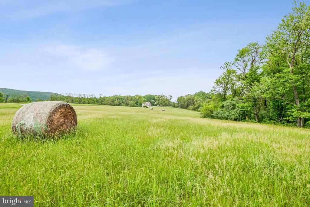 Hillsboro, Virginia, 20132, United States, 2 Bedrooms Bedrooms, ,2 BathroomsBathrooms,Residential,For Sale,1798286