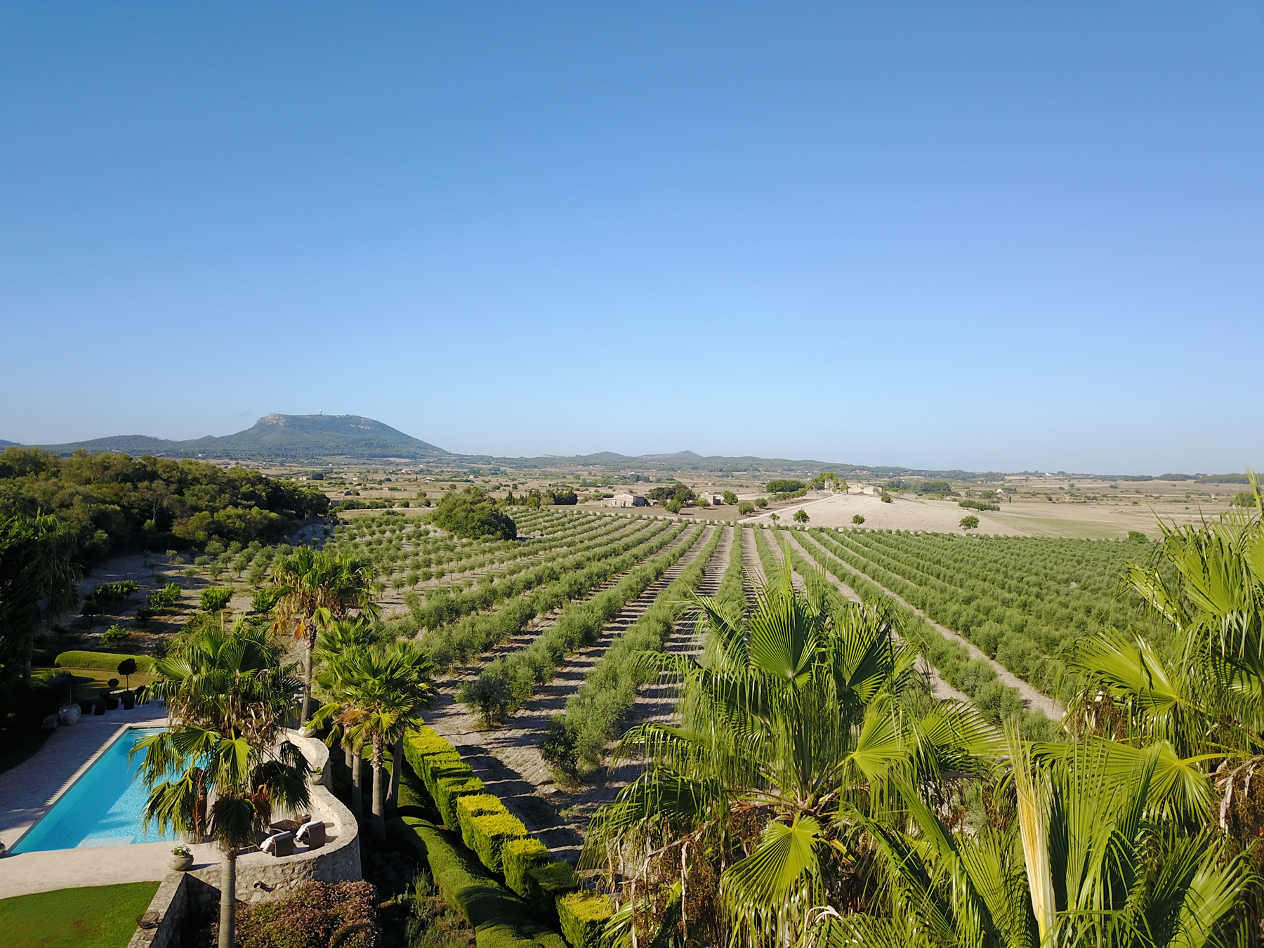  Authentic Majorcan estate with pool near Montuïri - 物件實景